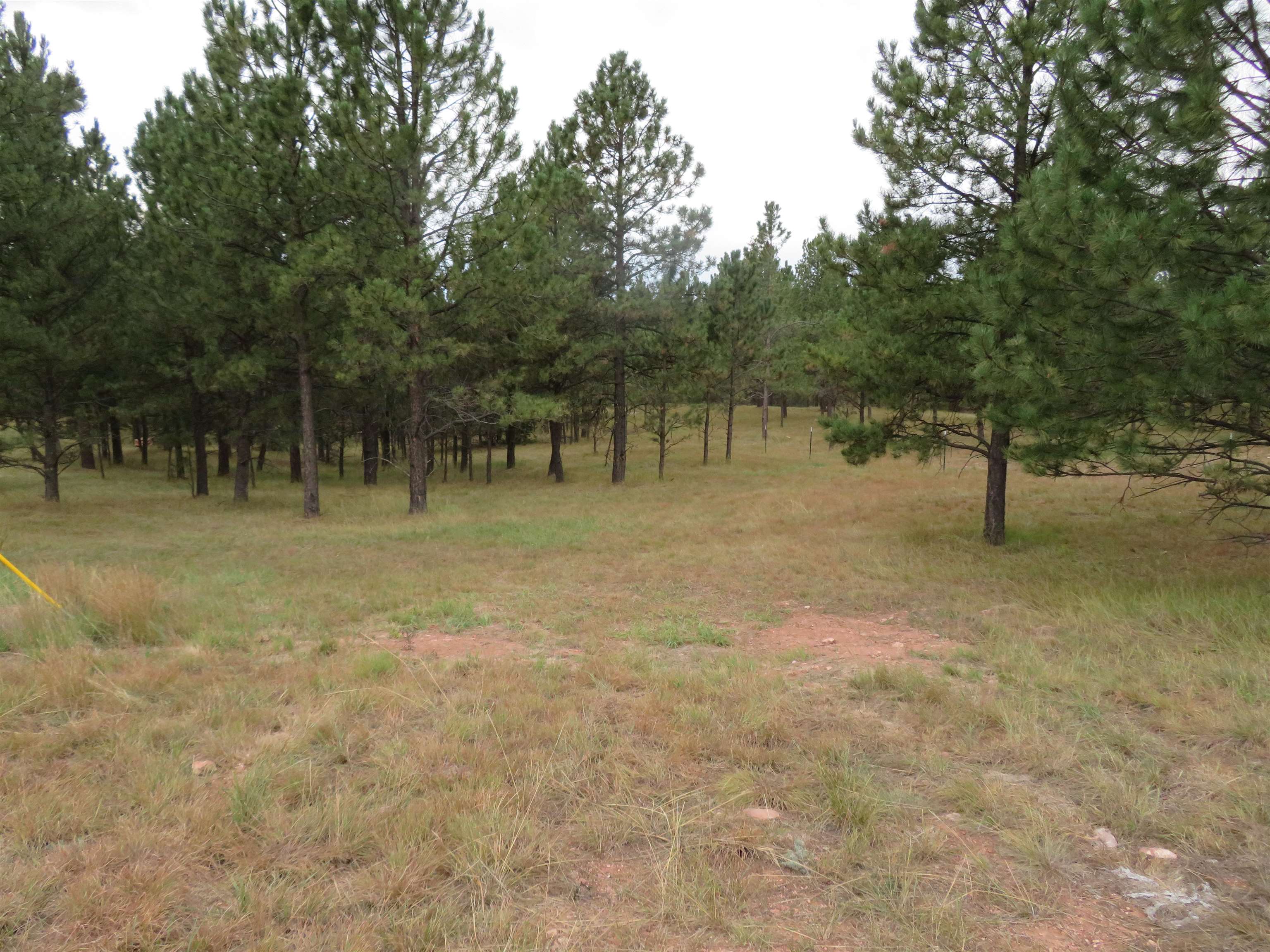 Tbd Lot 34b Hombre Trail Property Photo 5