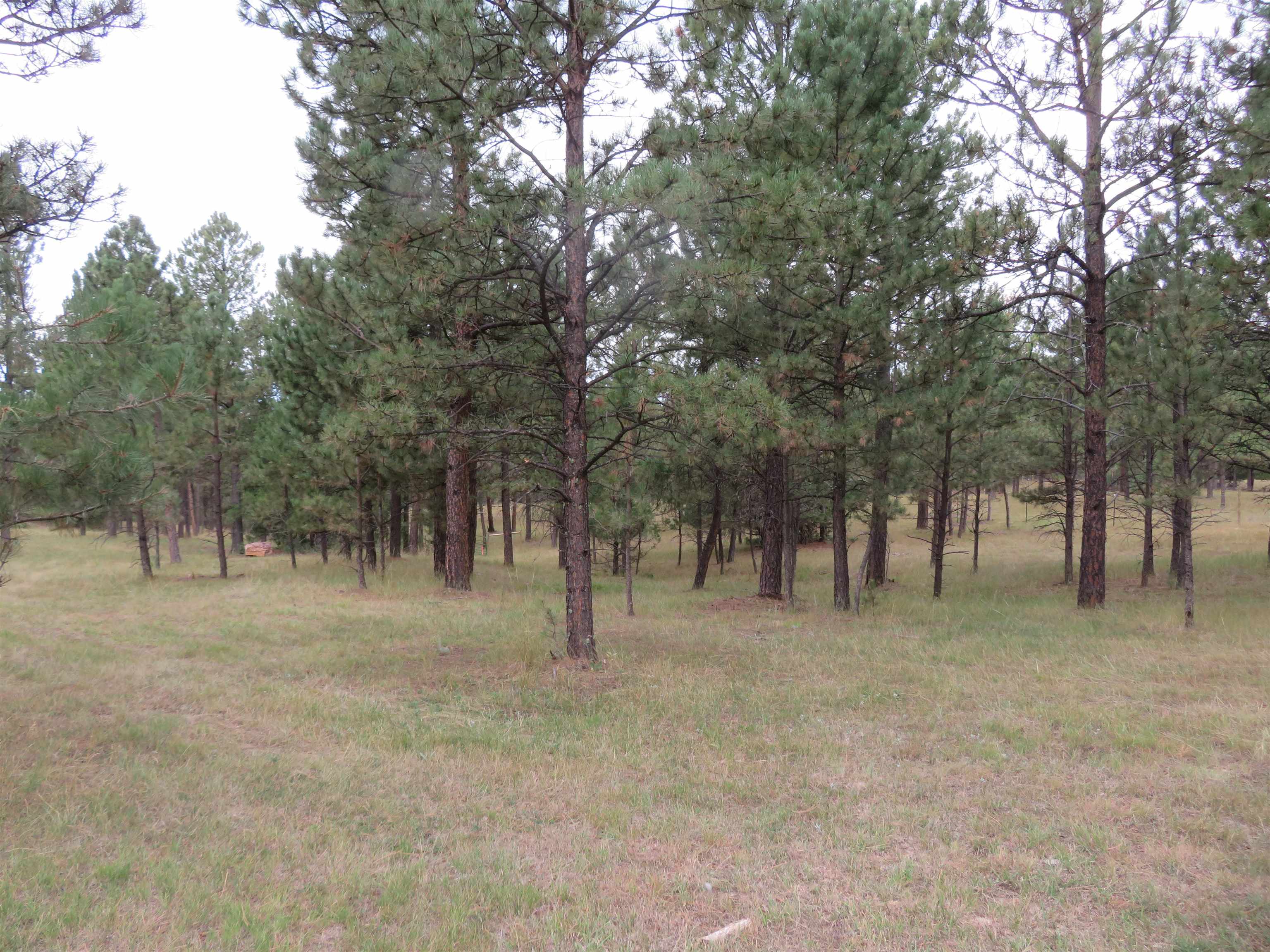 Tbd Lot 34b Hombre Trail Property Photo 6