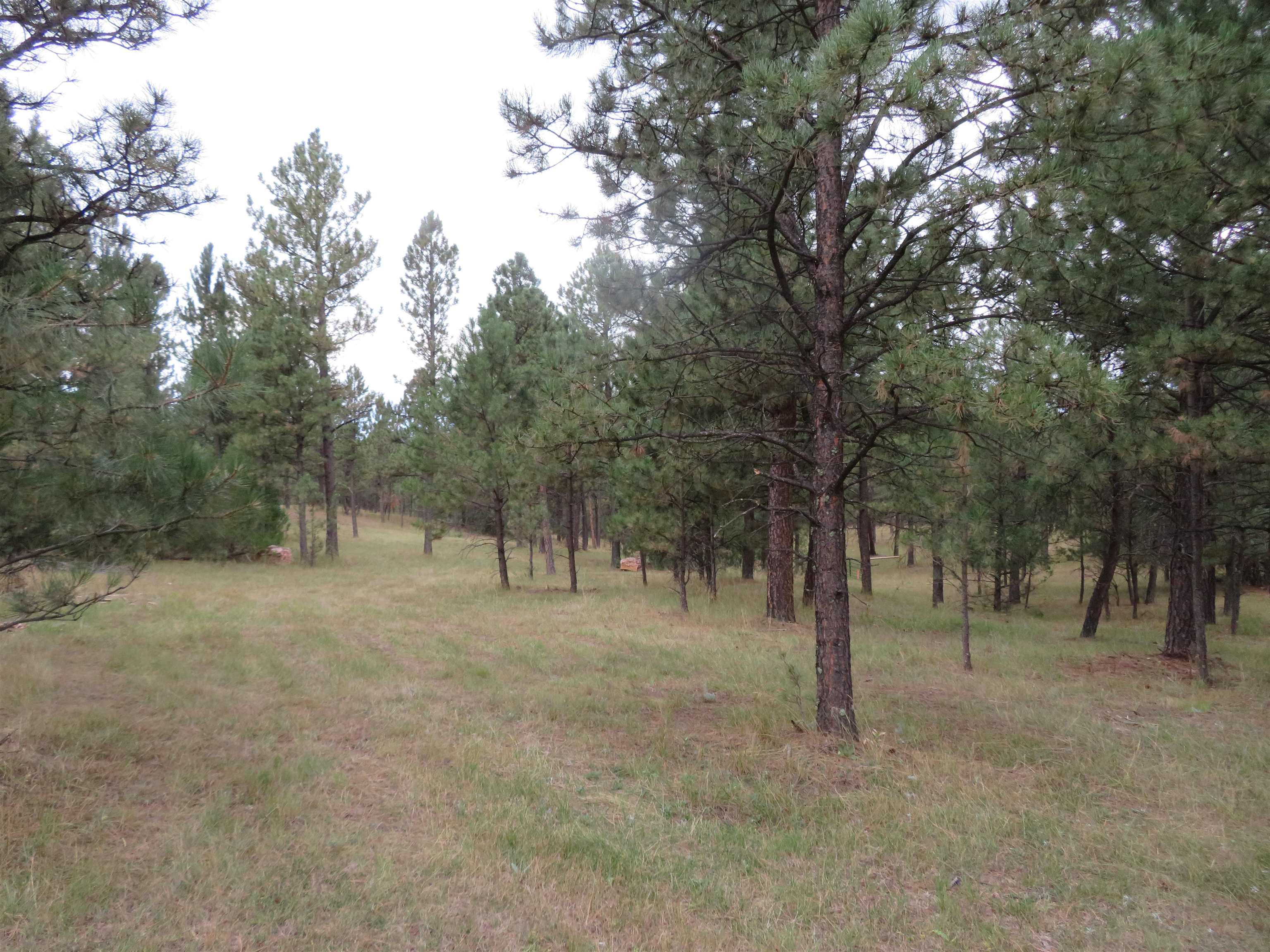 Tbd Lot 34b Hombre Trail Property Photo 7