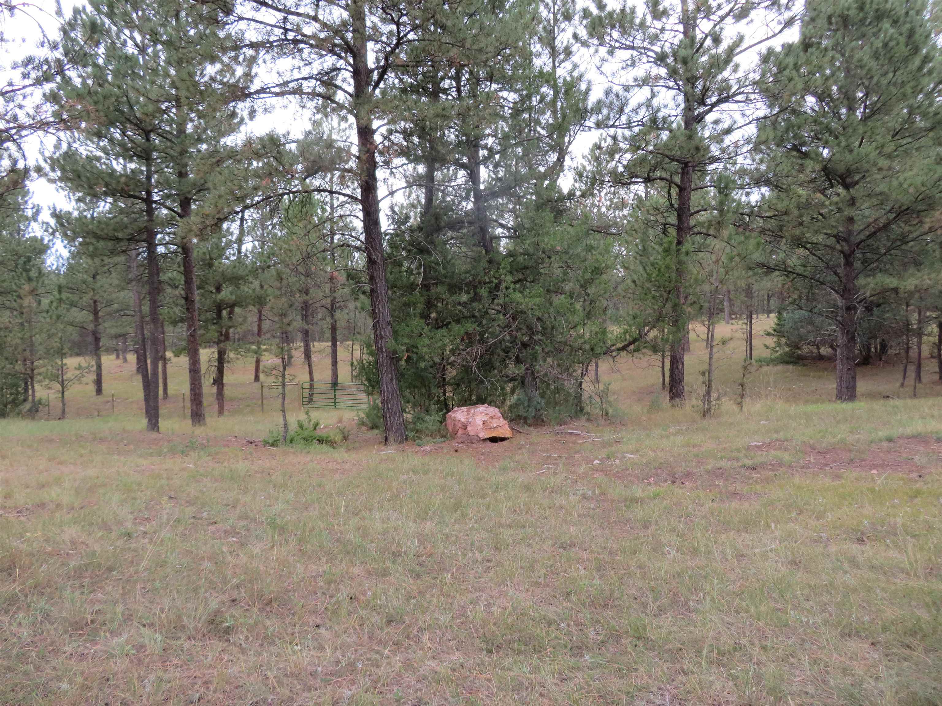 Tbd Lot 34b Hombre Trail Property Photo 8