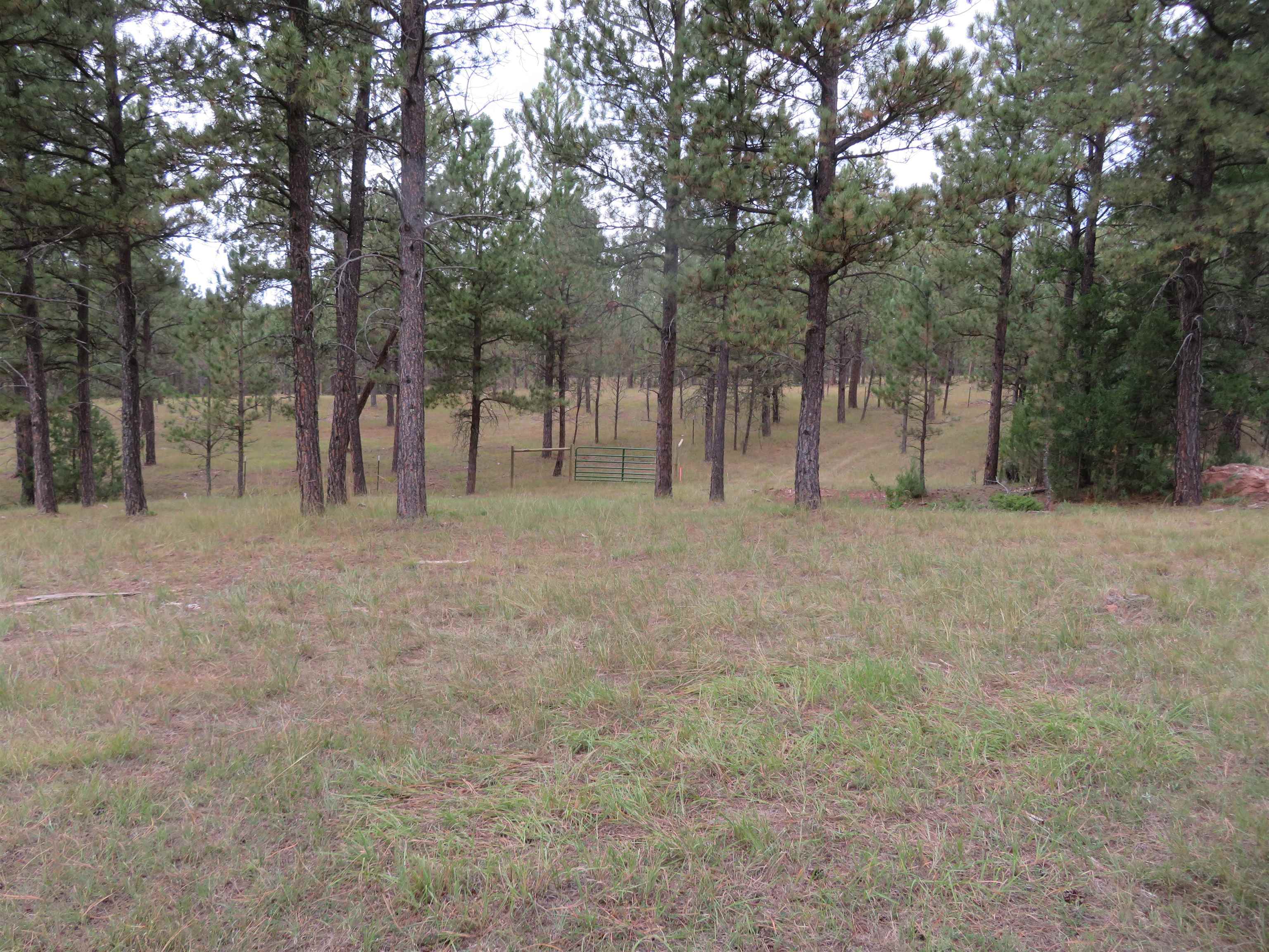 Tbd Lot 34b Hombre Trail Property Photo 9