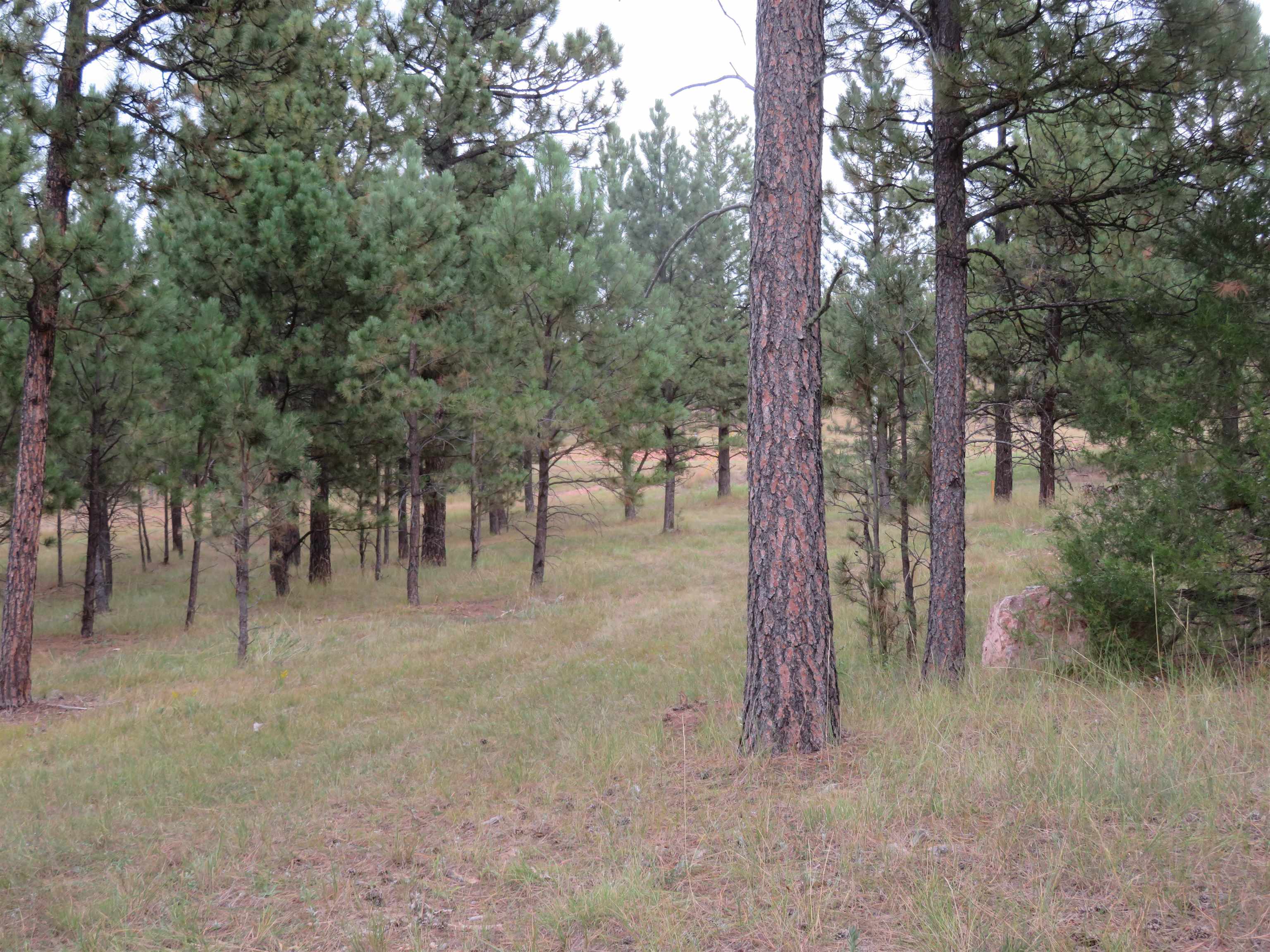Tbd Lot 34b Hombre Trail Property Photo 10