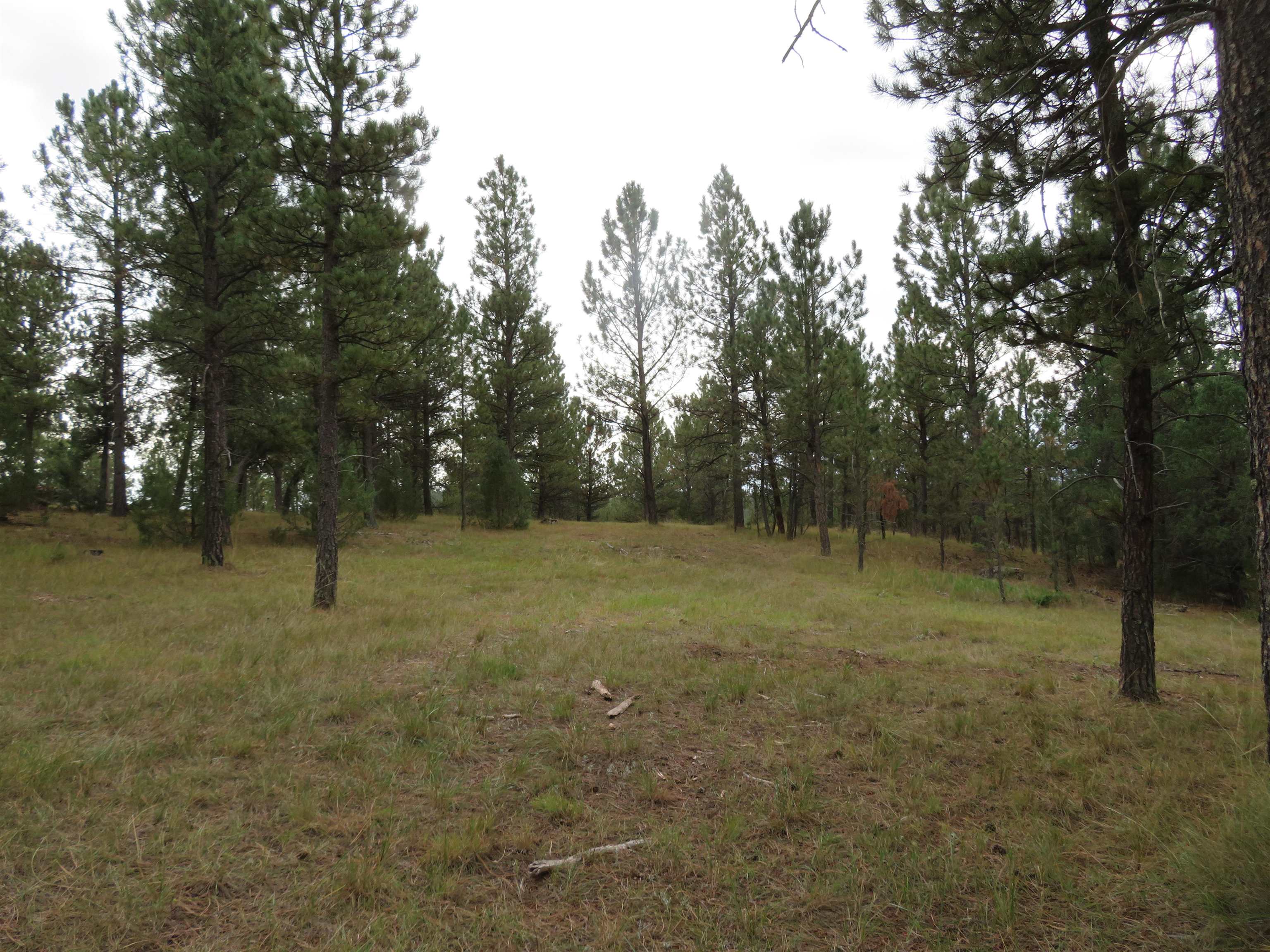 Tbd Lot 34b Hombre Trail Property Photo 11