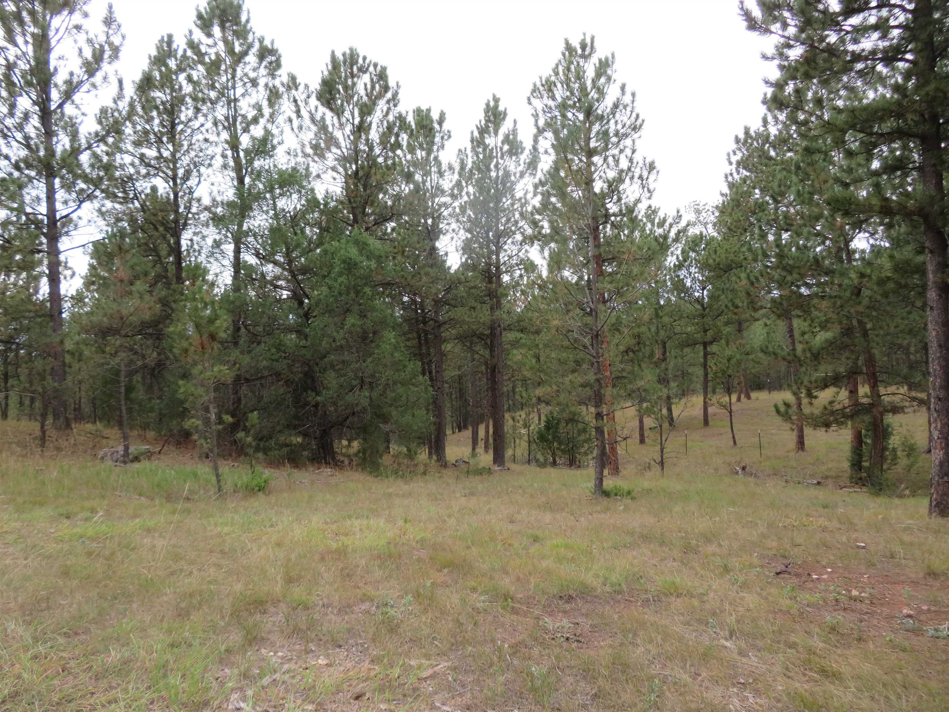 Tbd Lot 34b Hombre Trail Property Photo 12