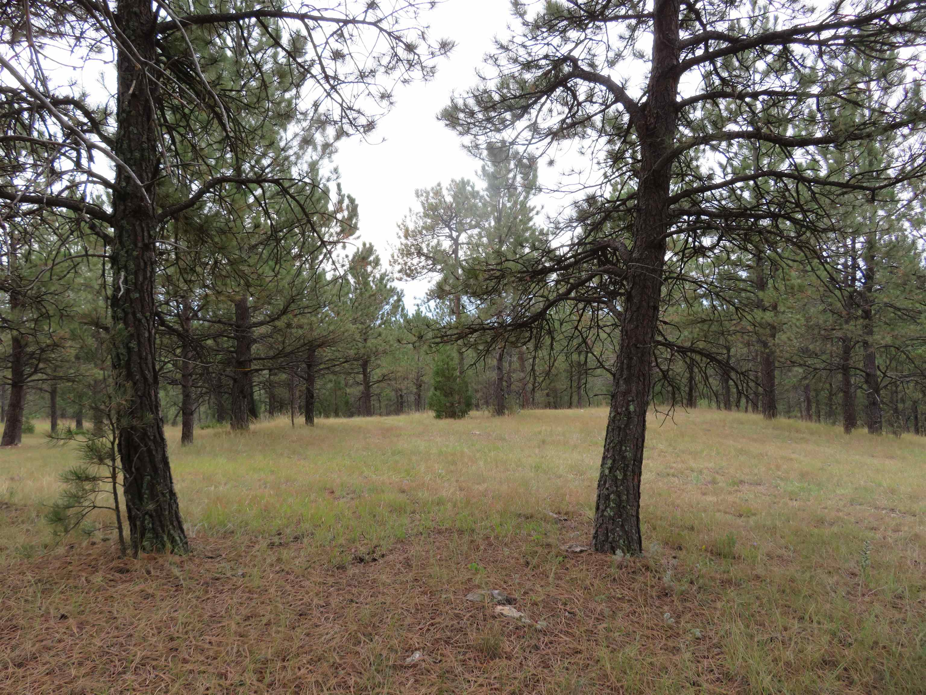 Tbd Lot 34b Hombre Trail Property Photo 13
