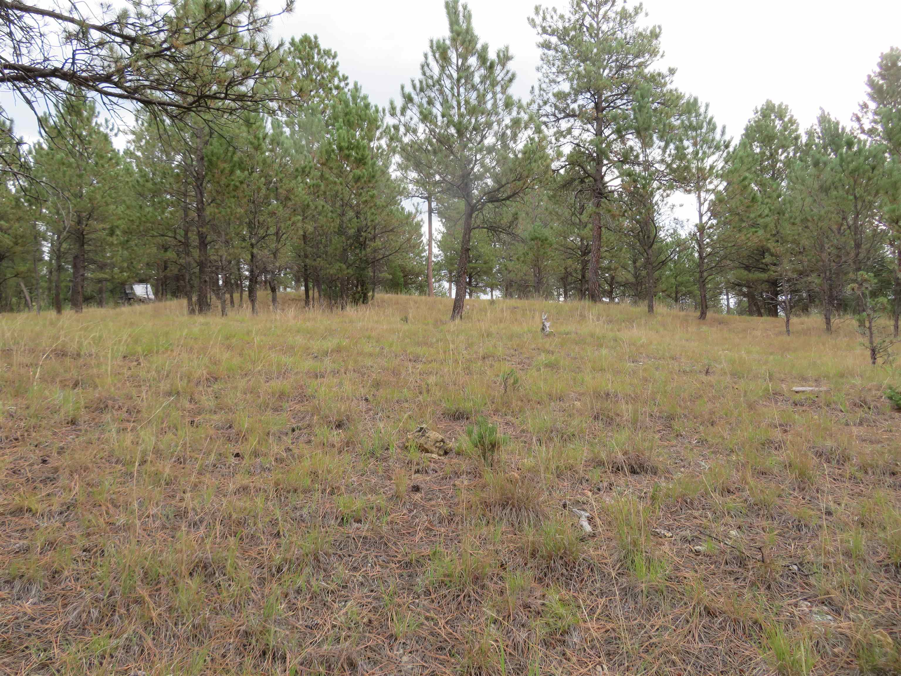 Tbd Lot 34b Hombre Trail Property Photo 14