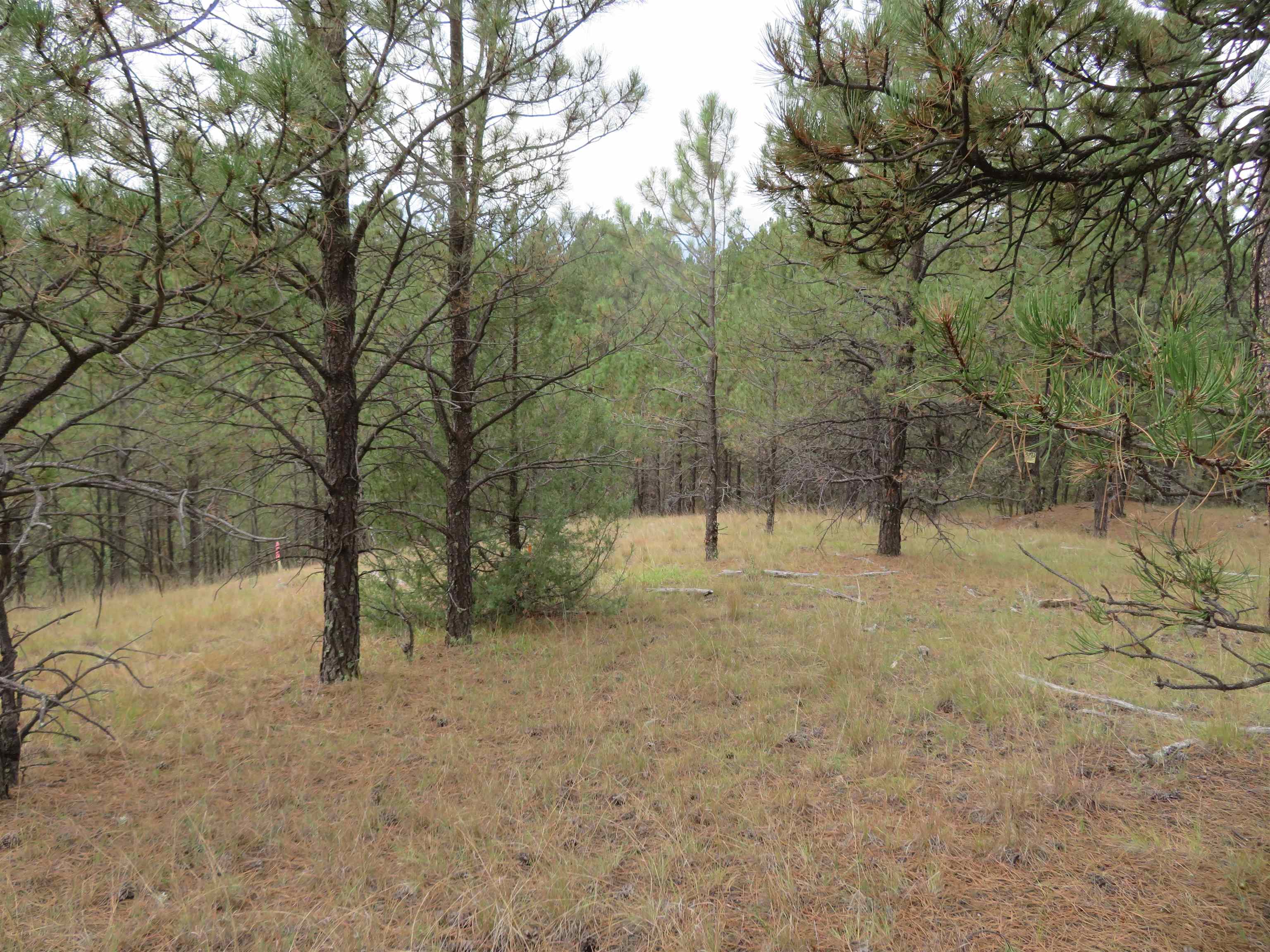 Tbd Lot 34b Hombre Trail Property Photo 15