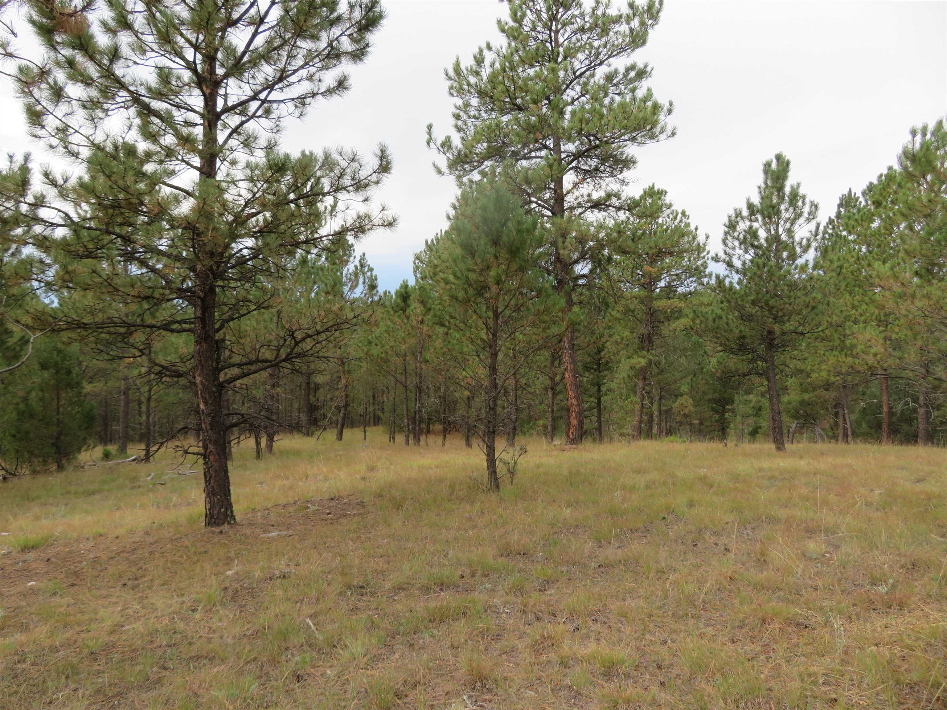 Tbd Lot 34b Hombre Trail Property Photo 16
