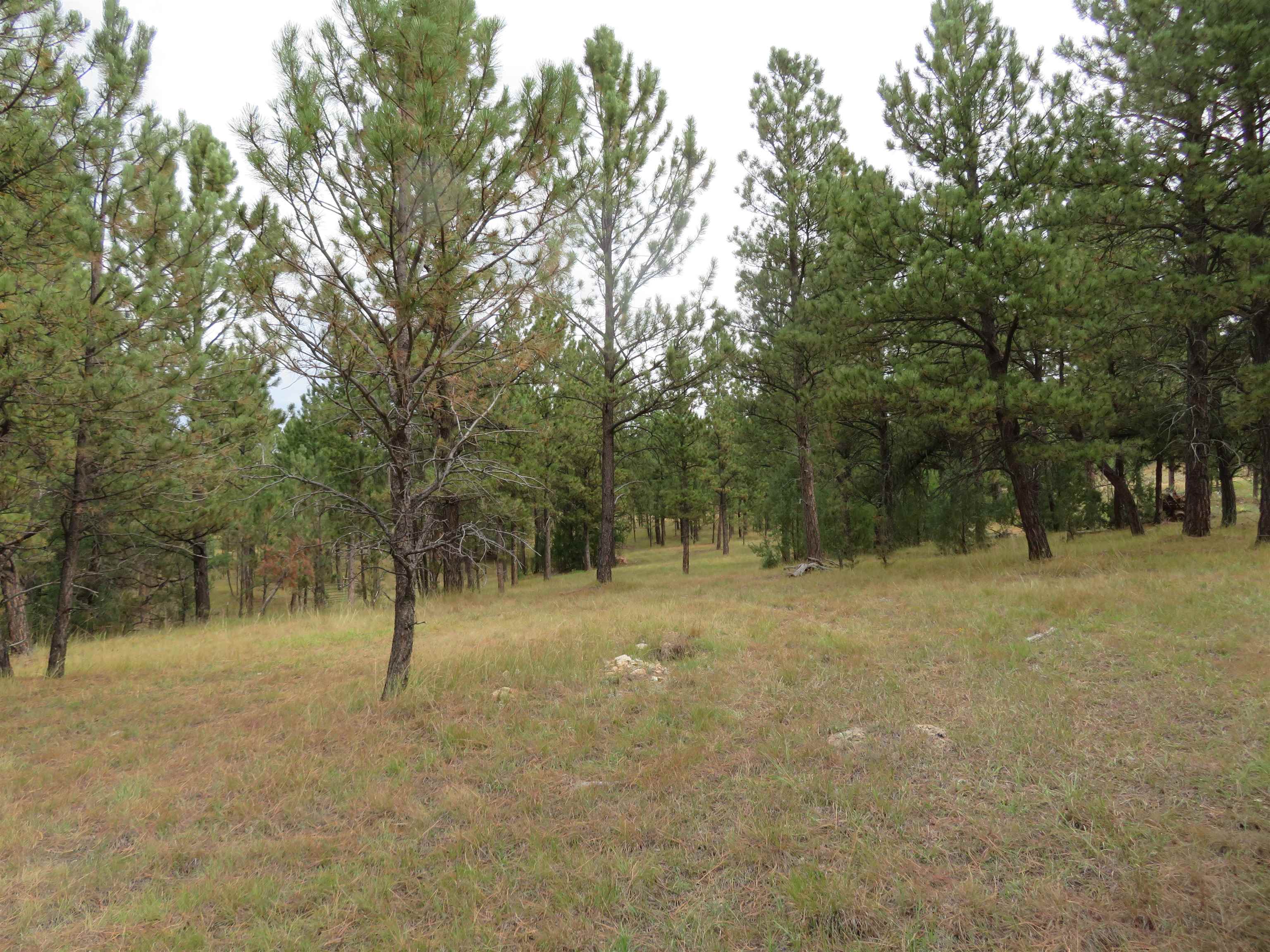 Tbd Lot 34b Hombre Trail Property Photo 17