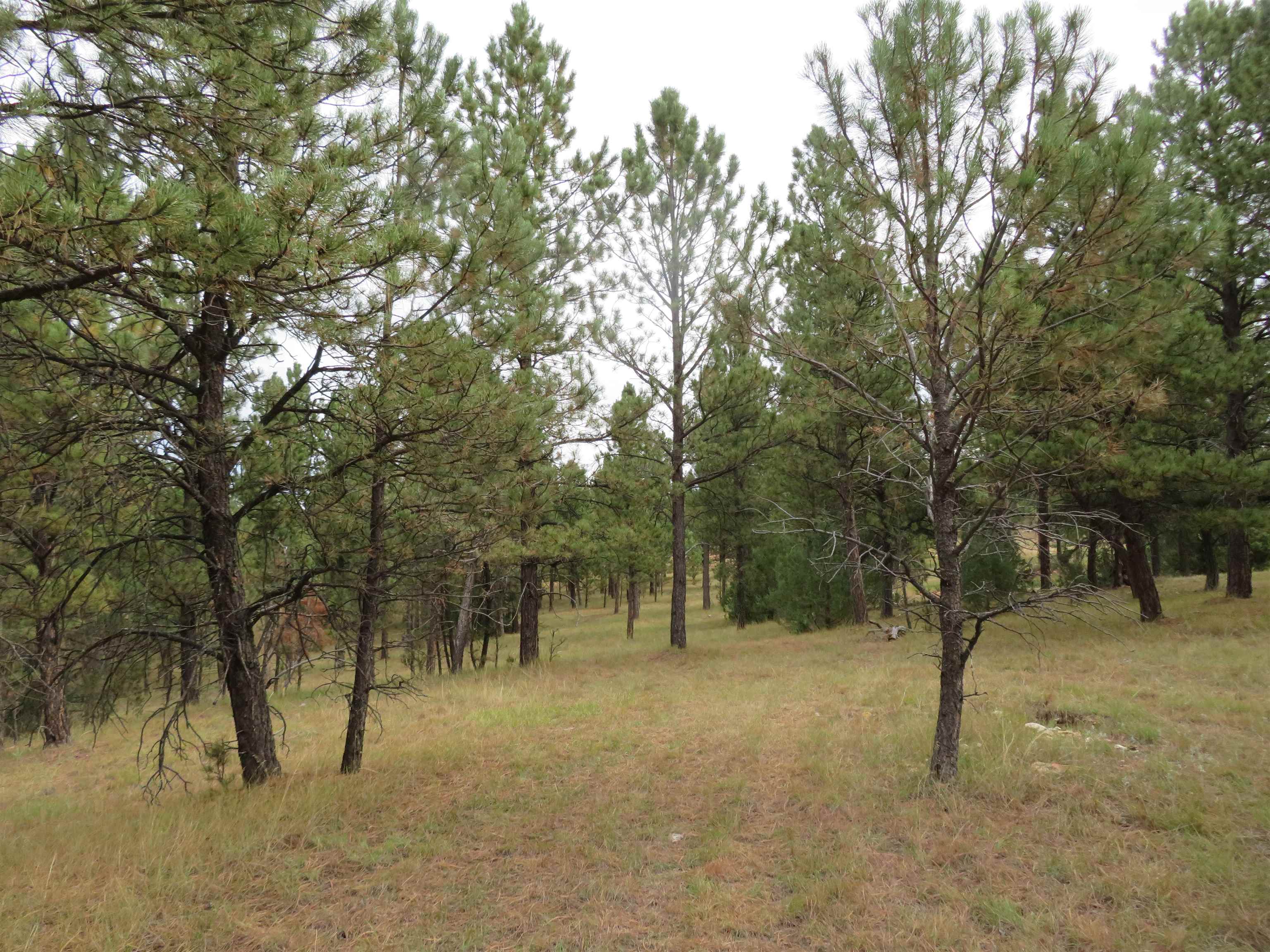 Tbd Lot 34b Hombre Trail Property Photo 18