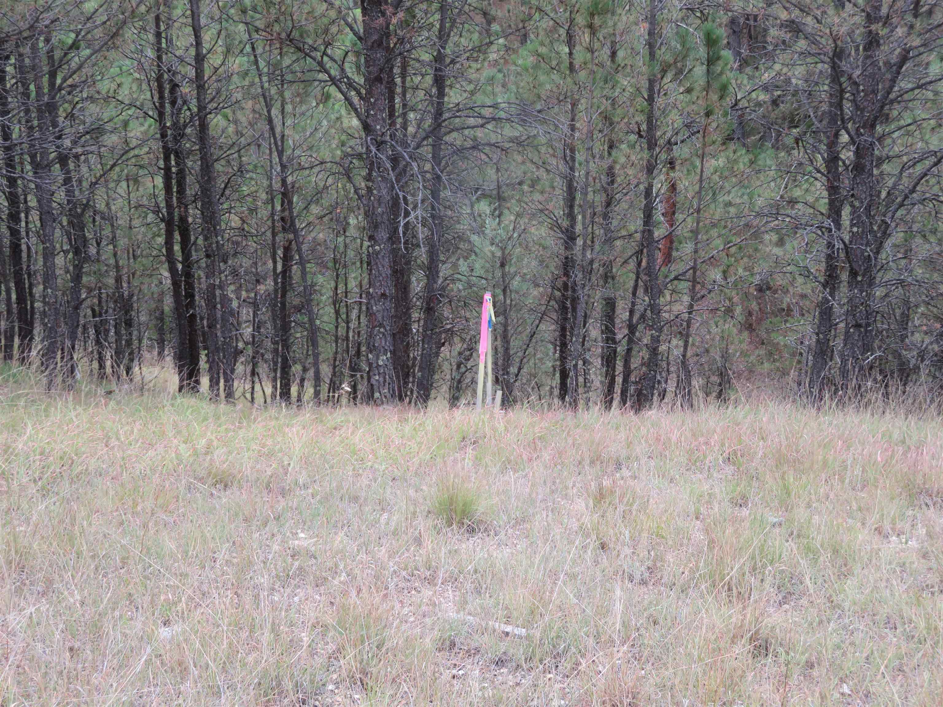 Tbd Lot 34b Hombre Trail Property Photo 22