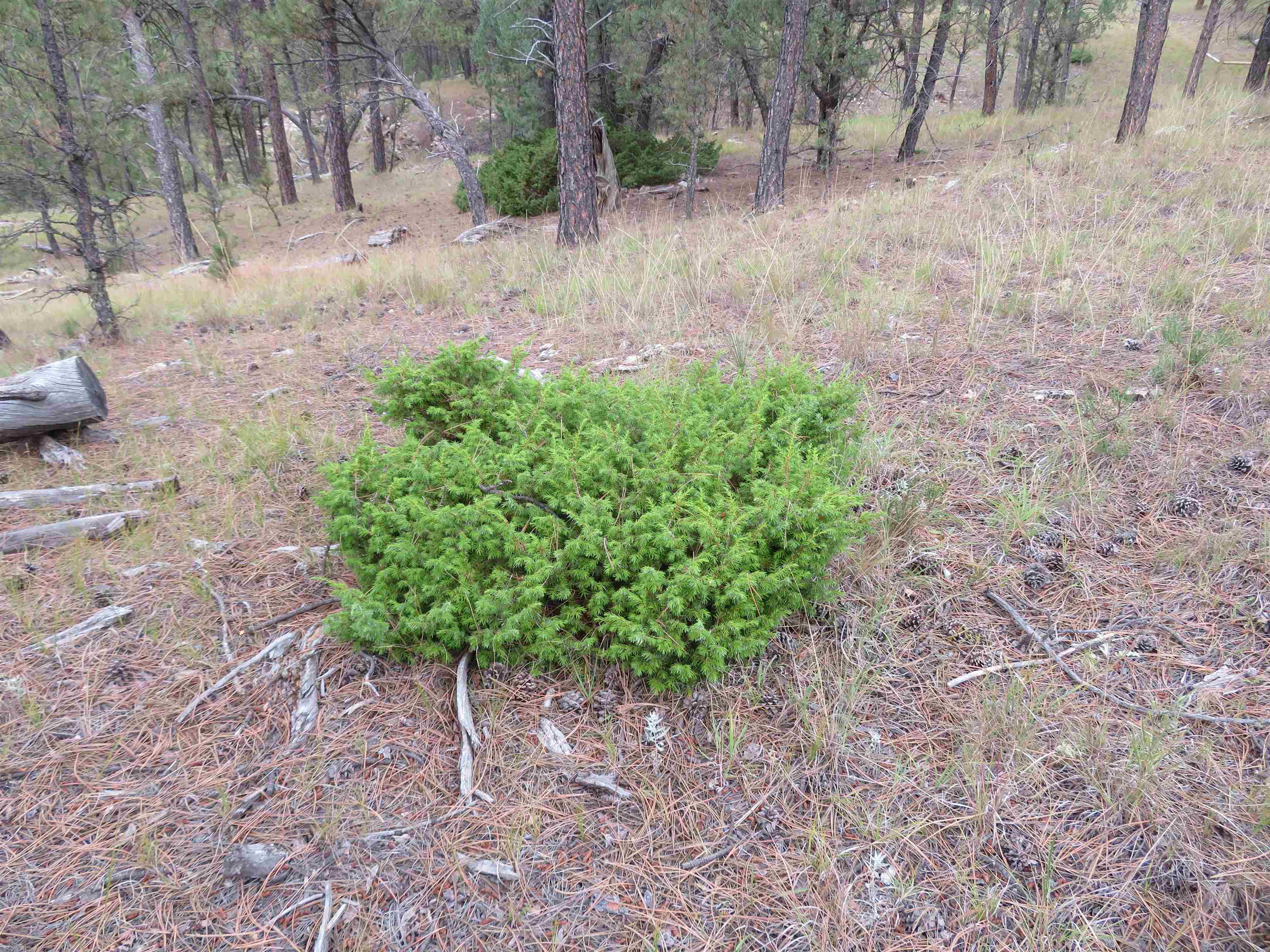Tbd Lot 34b Hombre Trail Property Photo 24