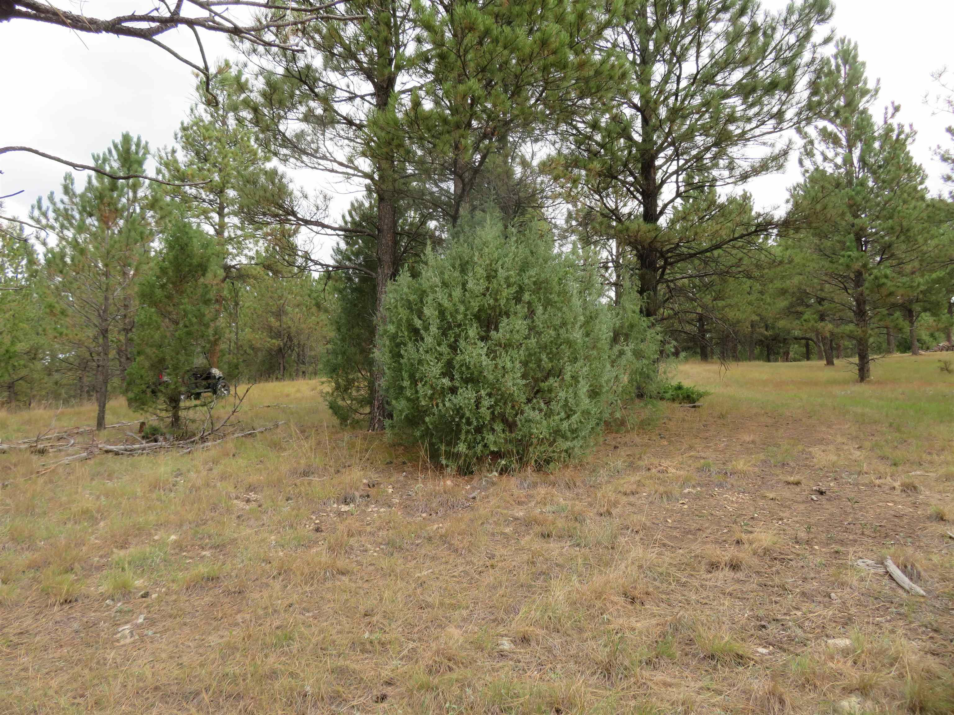 Tbd Lot 34b Hombre Trail Property Photo 25