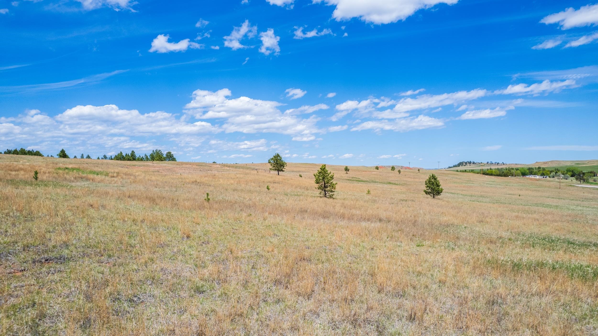 Lot 1 Highway 385 Property Photo 6