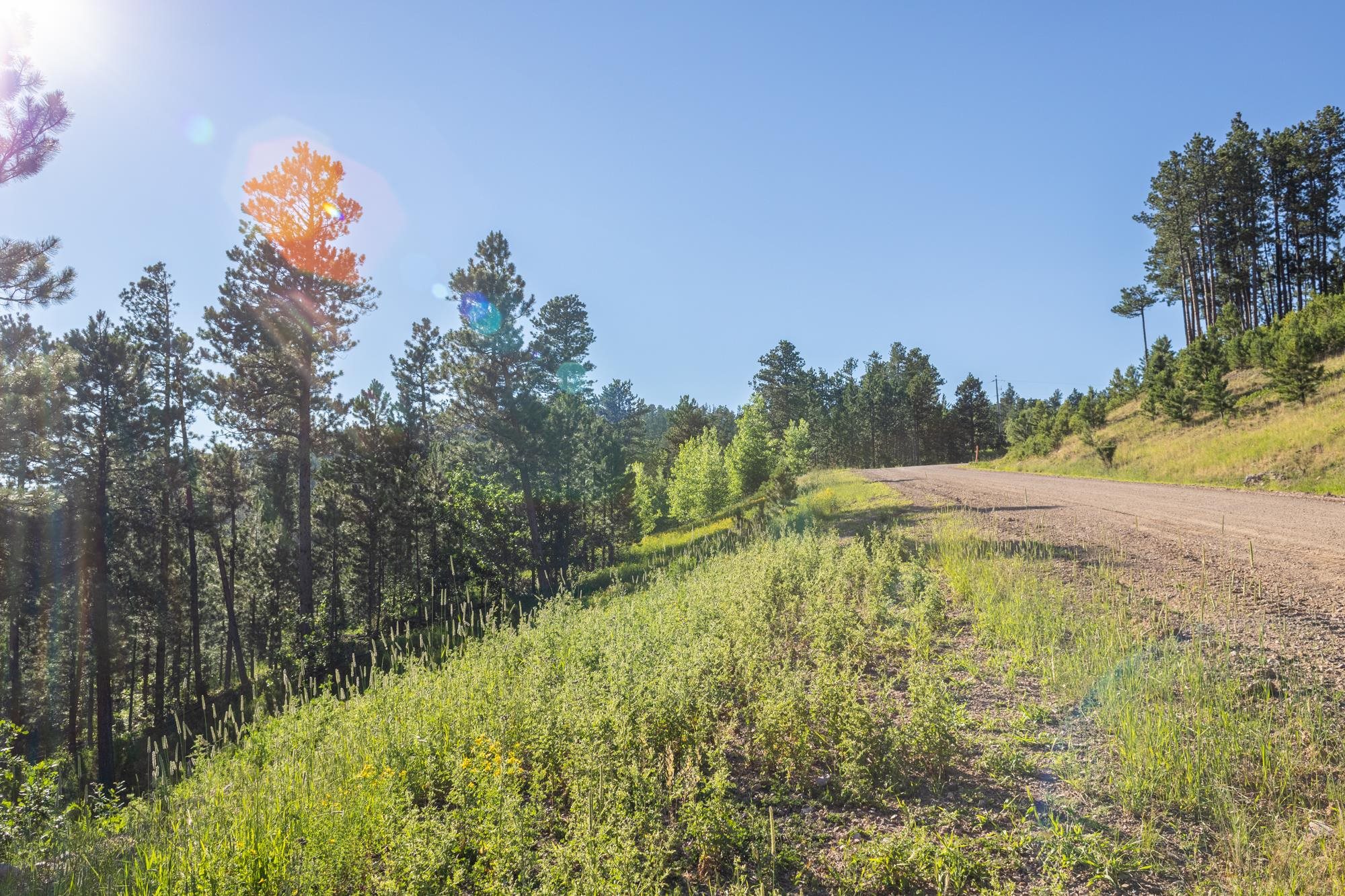 Lot 108 Paradise Gulch Loop Property Photo 28