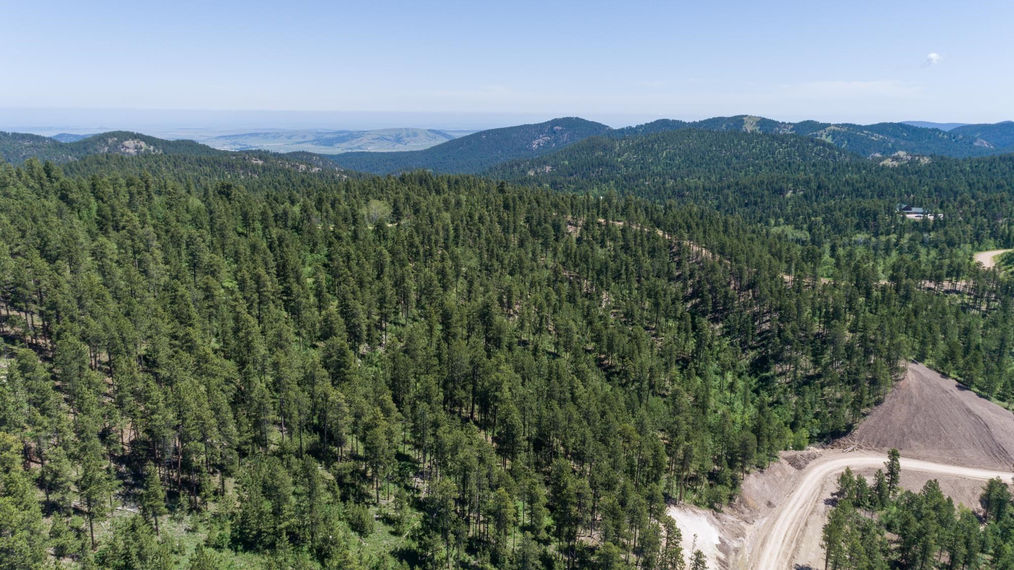 Lot 114 Paradise Gulch Loop Property Photo 11