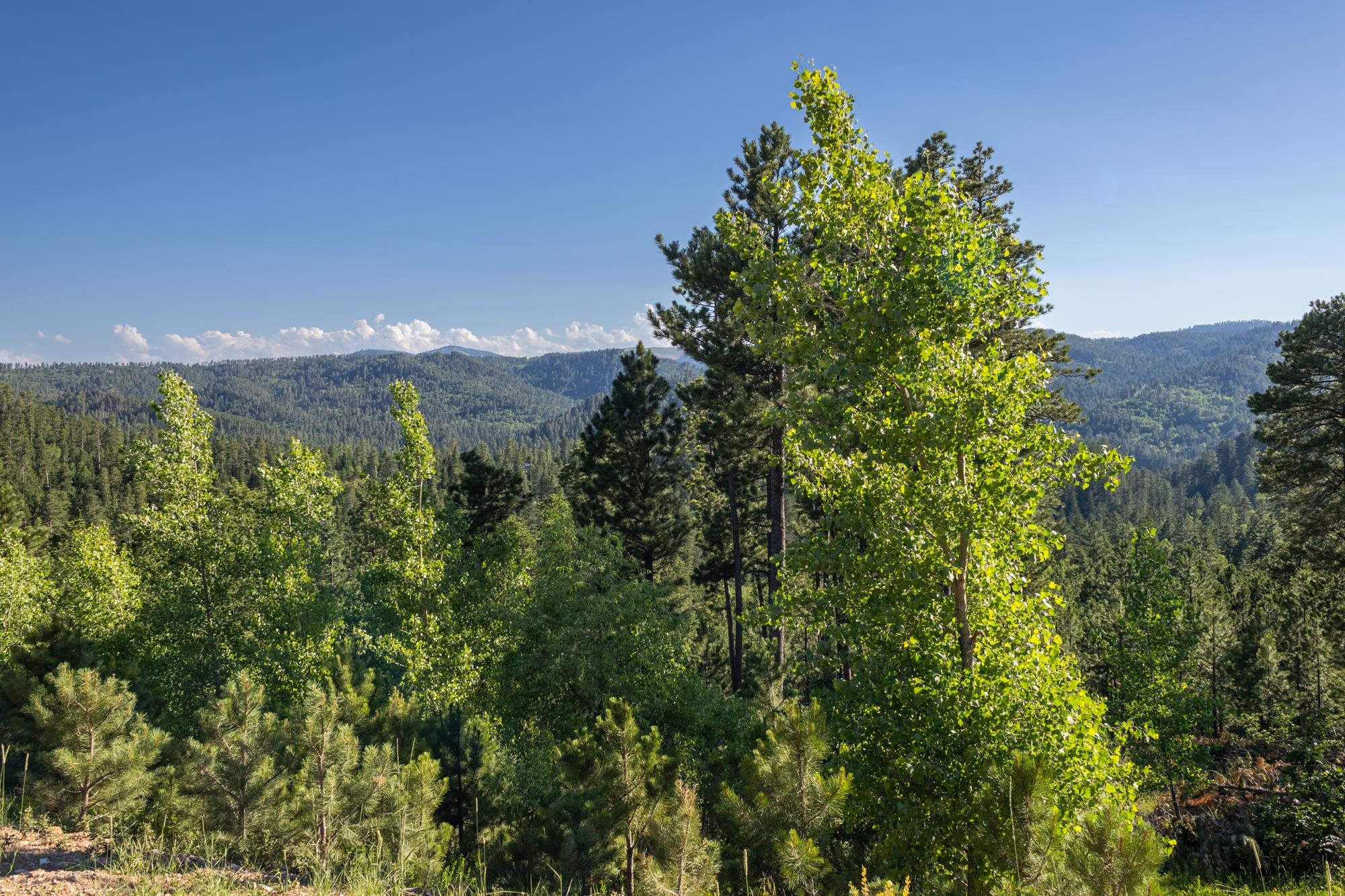 Lot 114 Paradise Gulch Loop Property Photo 26
