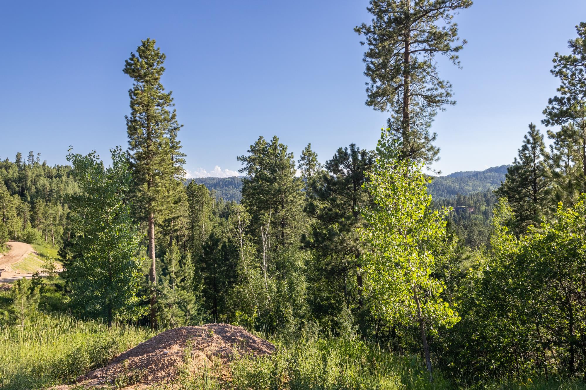 Lot 115a Paradise Gulch Loop Property Photo 29