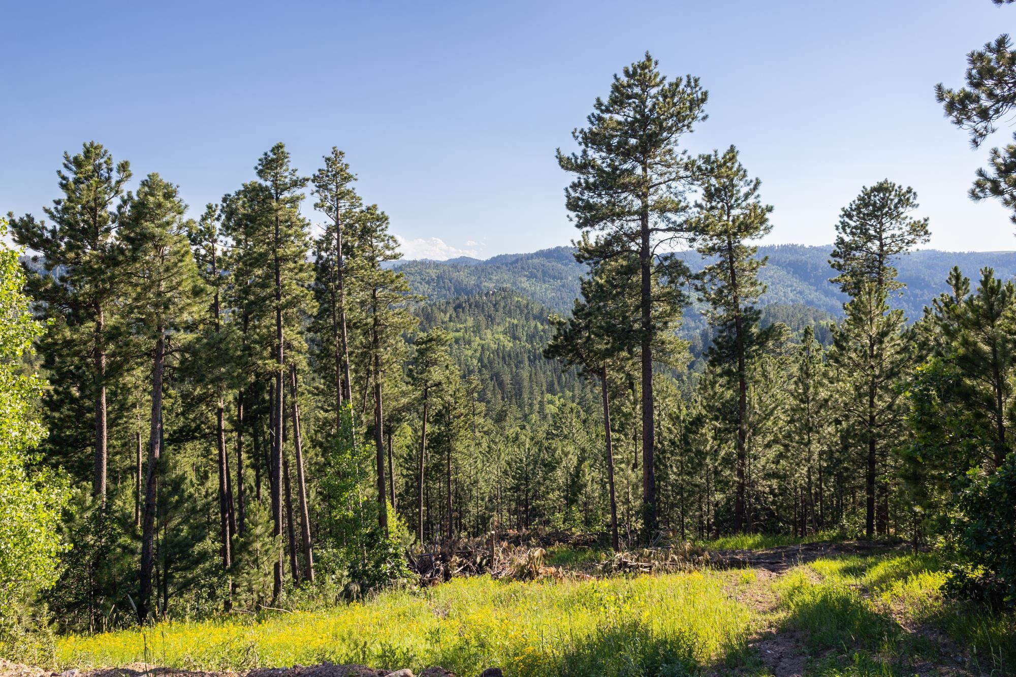 Lot 116 Paradise Gulch Loop Property Photo 1