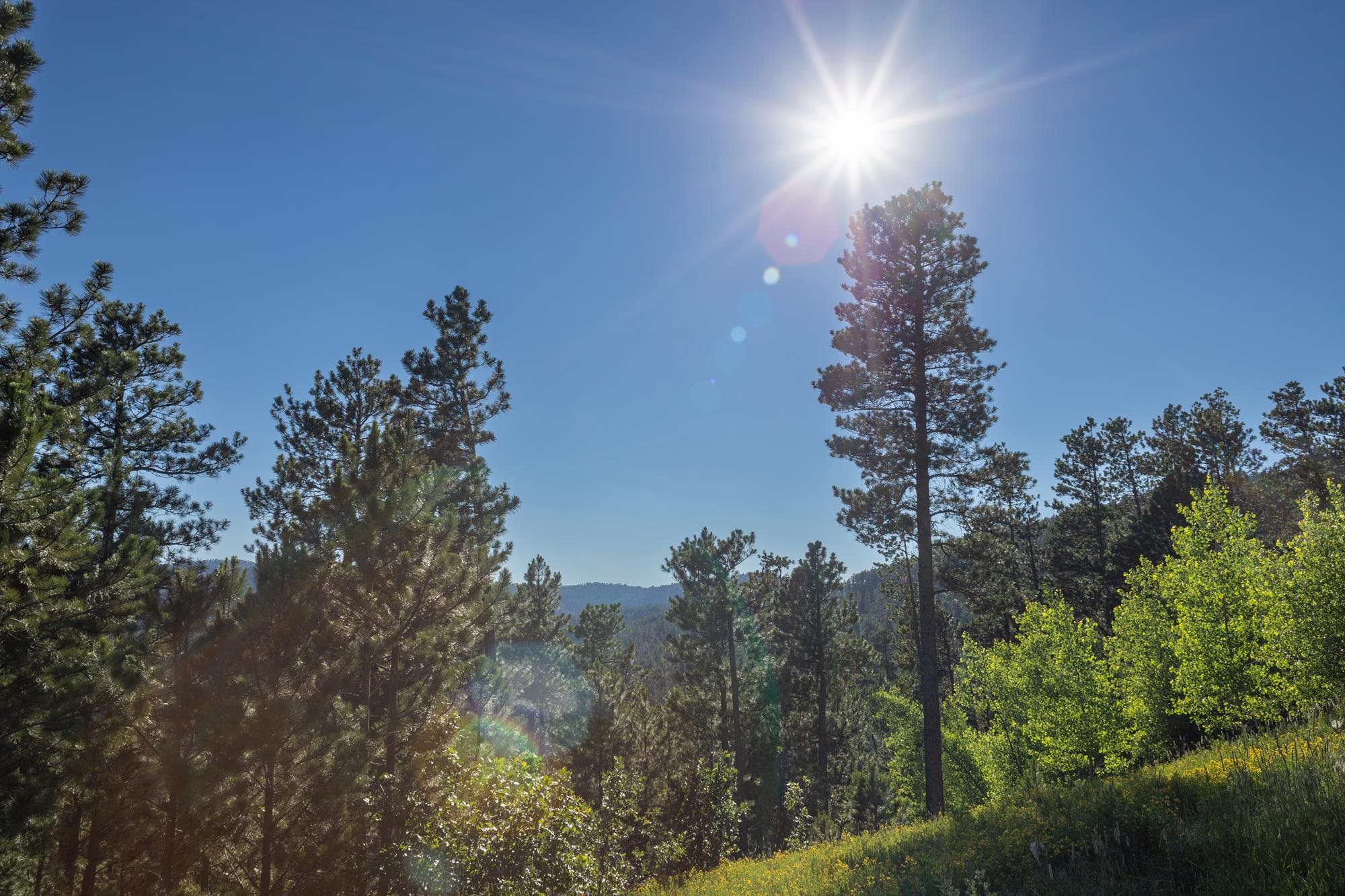Lot 116 Paradise Gulch Loop Property Photo 26