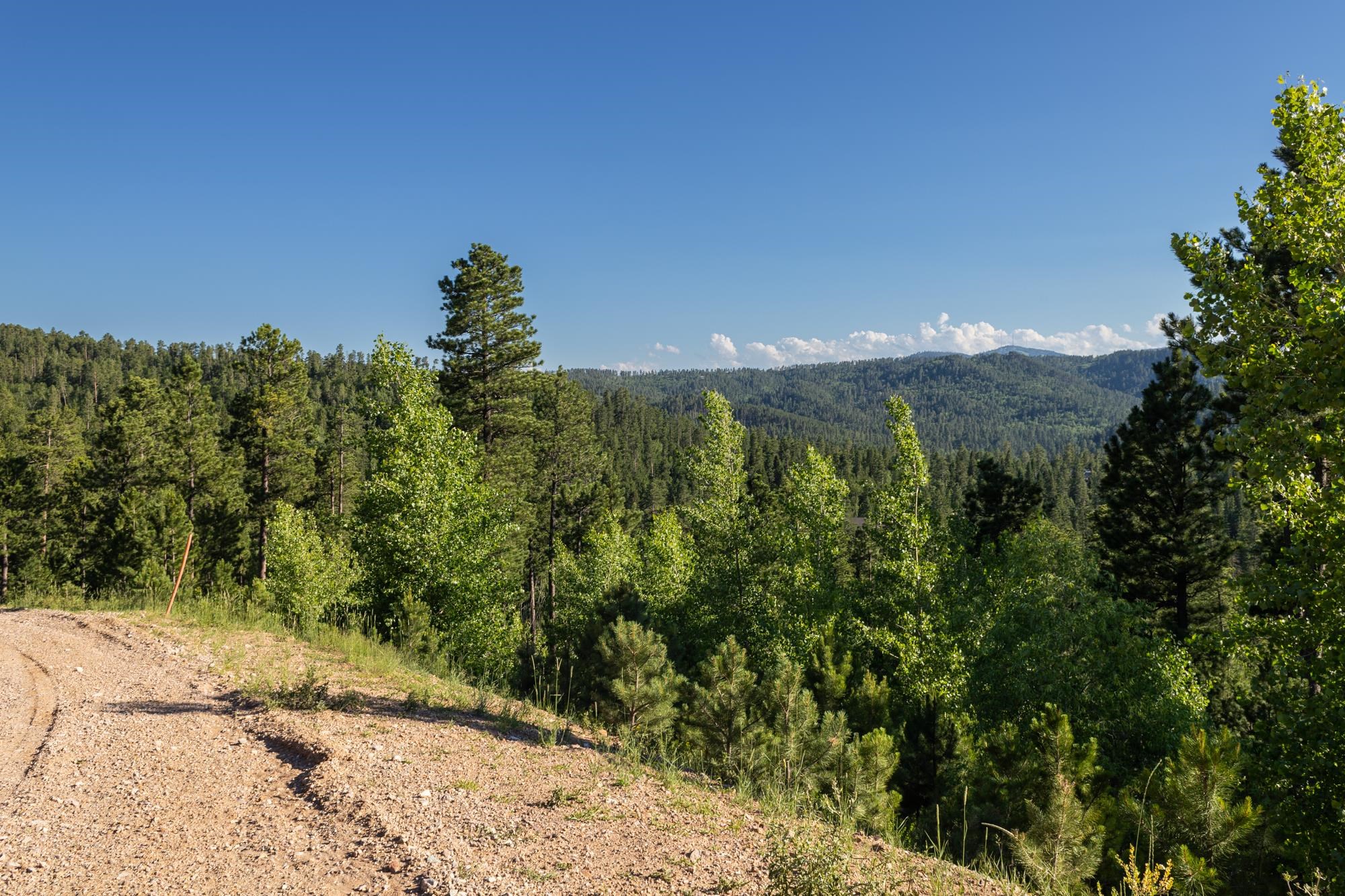 Lot 132 Paradise Gulch Loop Property Photo 23