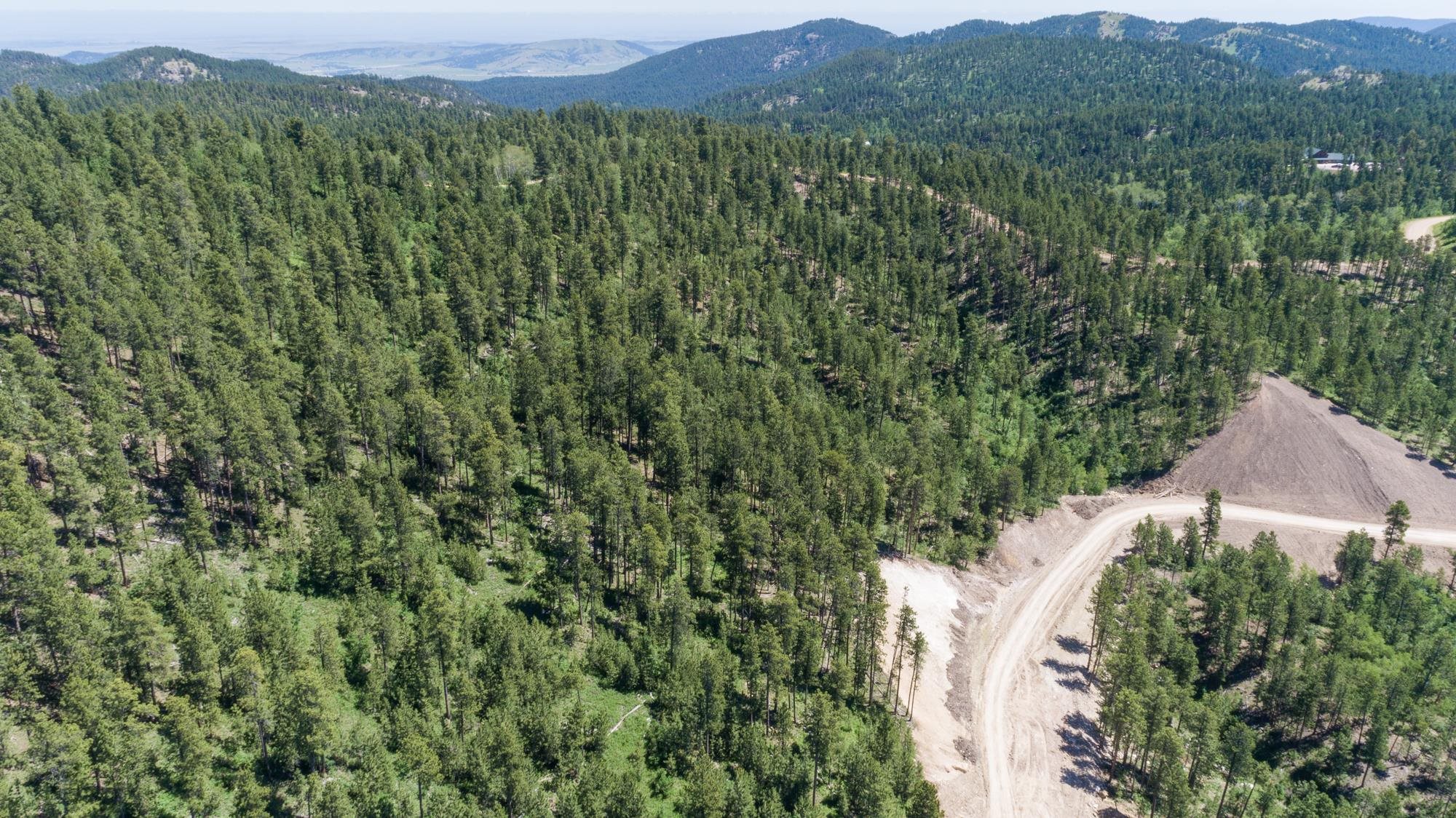 Lot 142 Paradise Gulch Loop Property Photo 4