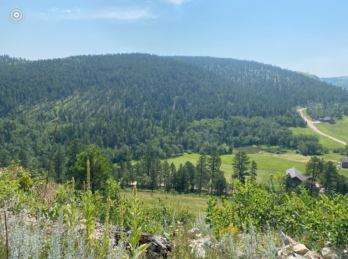 TBD Two Bit Road Property Photo 1