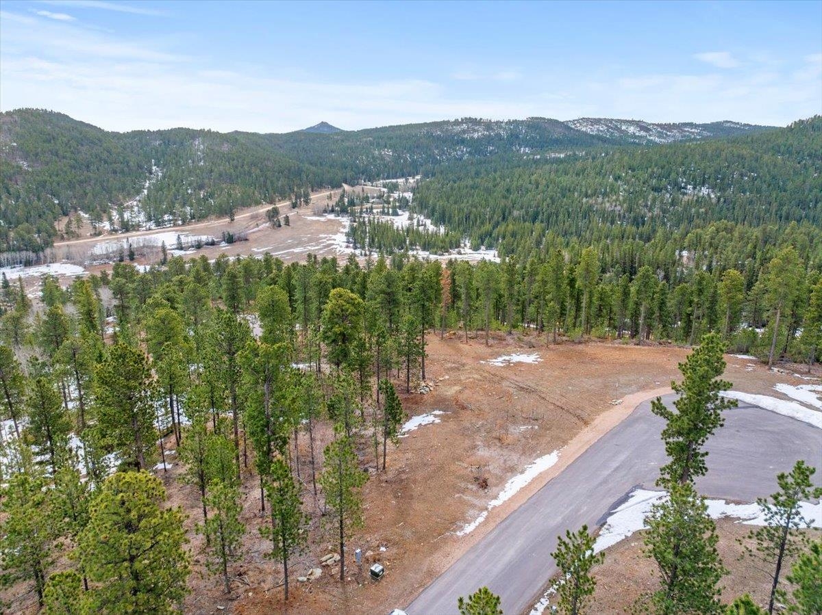 Lot 10 Meadow Wood Way Property Photo 2