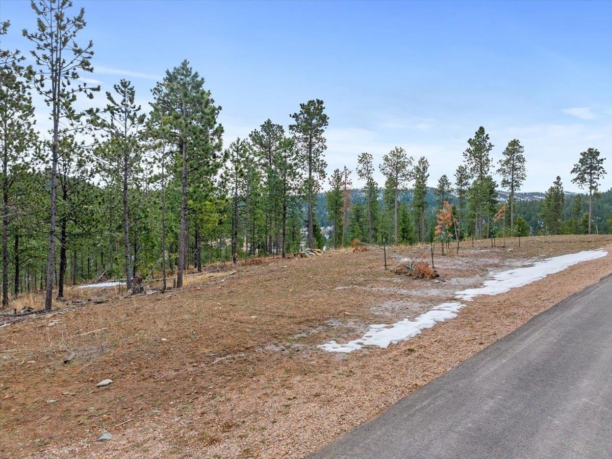 Lot 10 Meadow Wood Way Property Photo 3