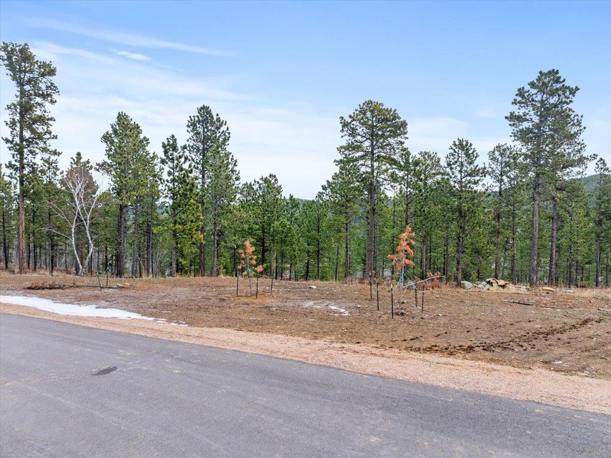 Lot 10 Meadow Wood Way Property Photo 5