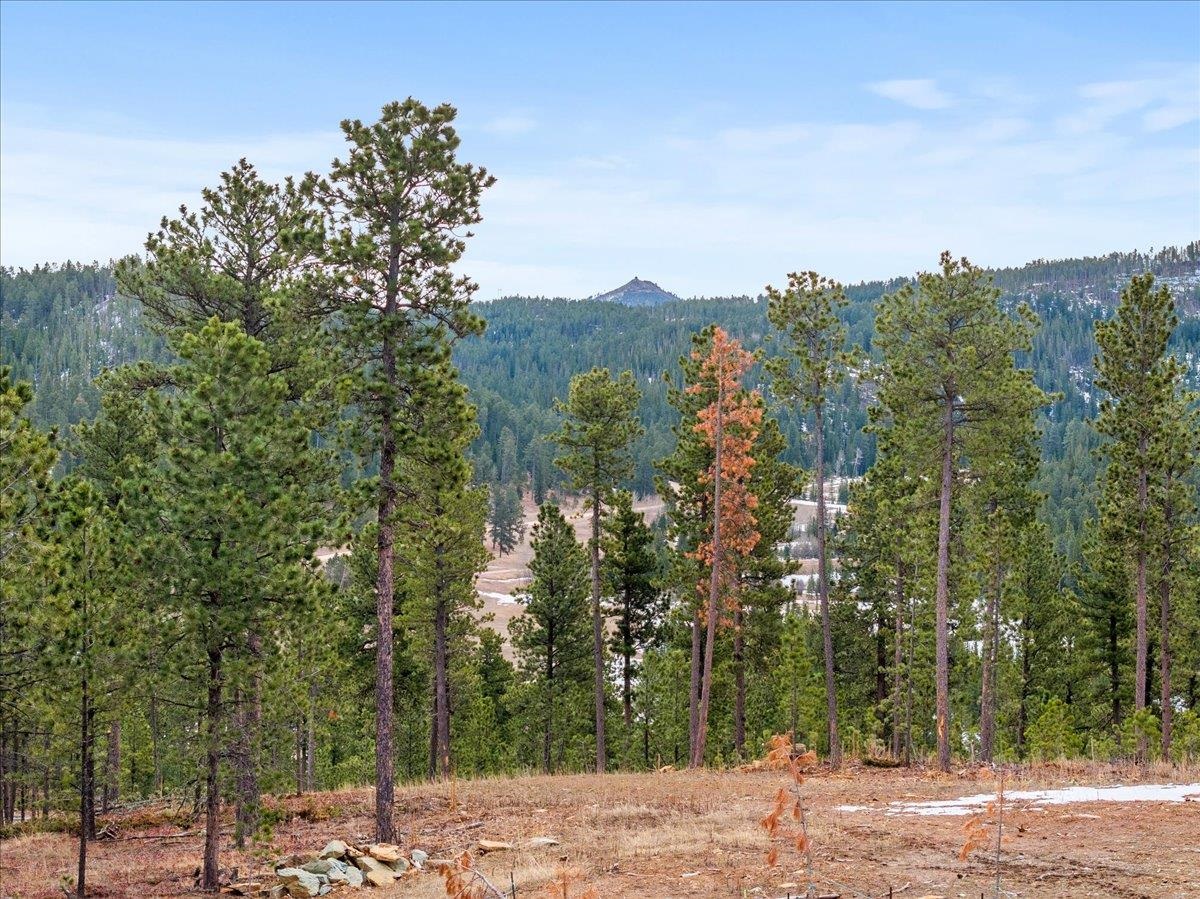 Lot 10 Meadow Wood Way Property Photo 9