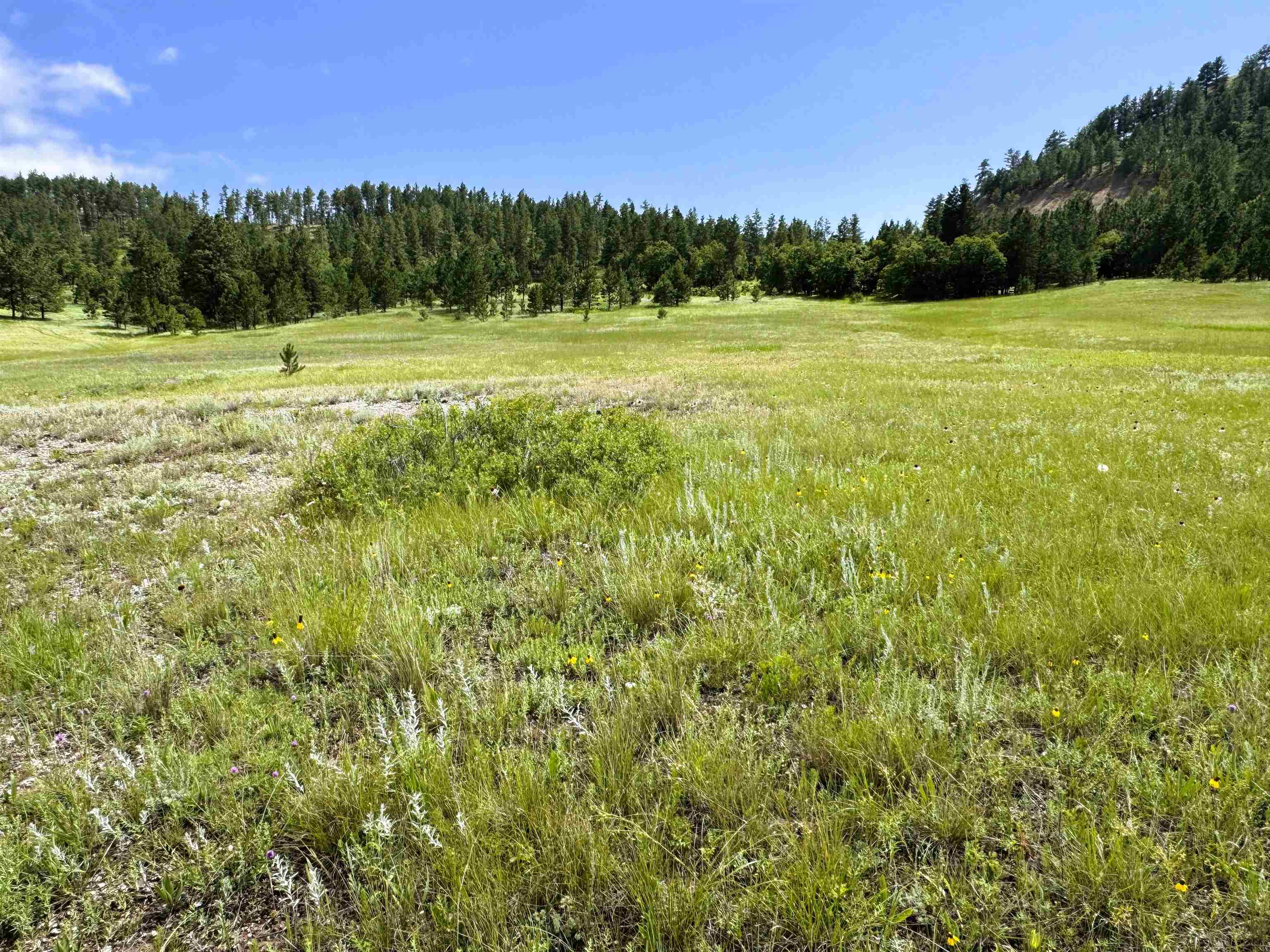 E1 Soaring Eagle Road Property Photo 1