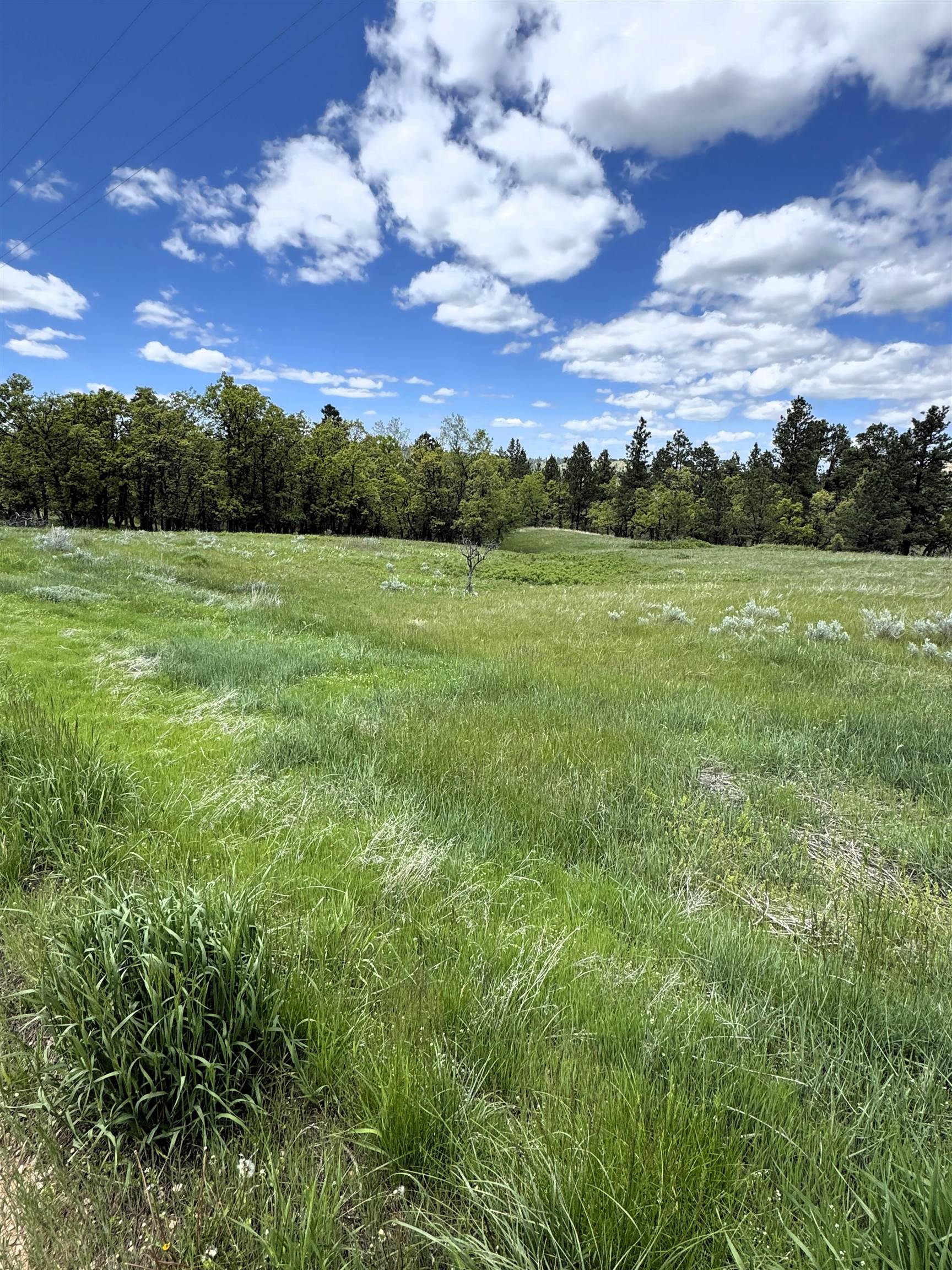 E2 Soaring Eagle Road Property Photo 2