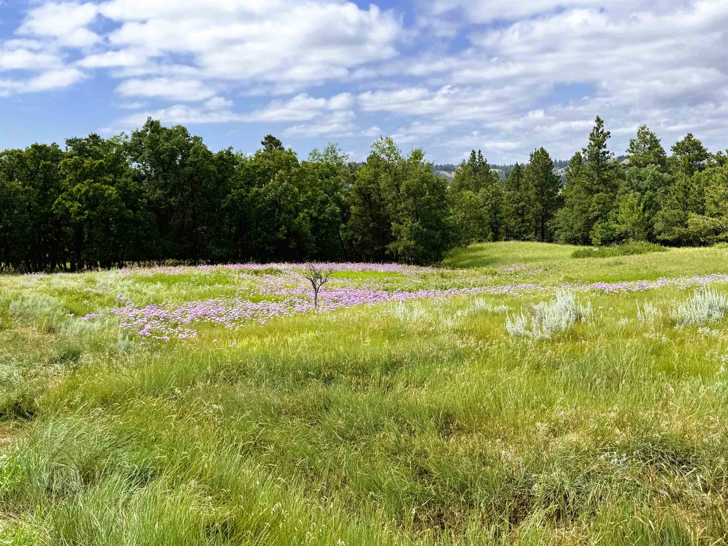 E2 Soaring Eagle Road Property Photo 4