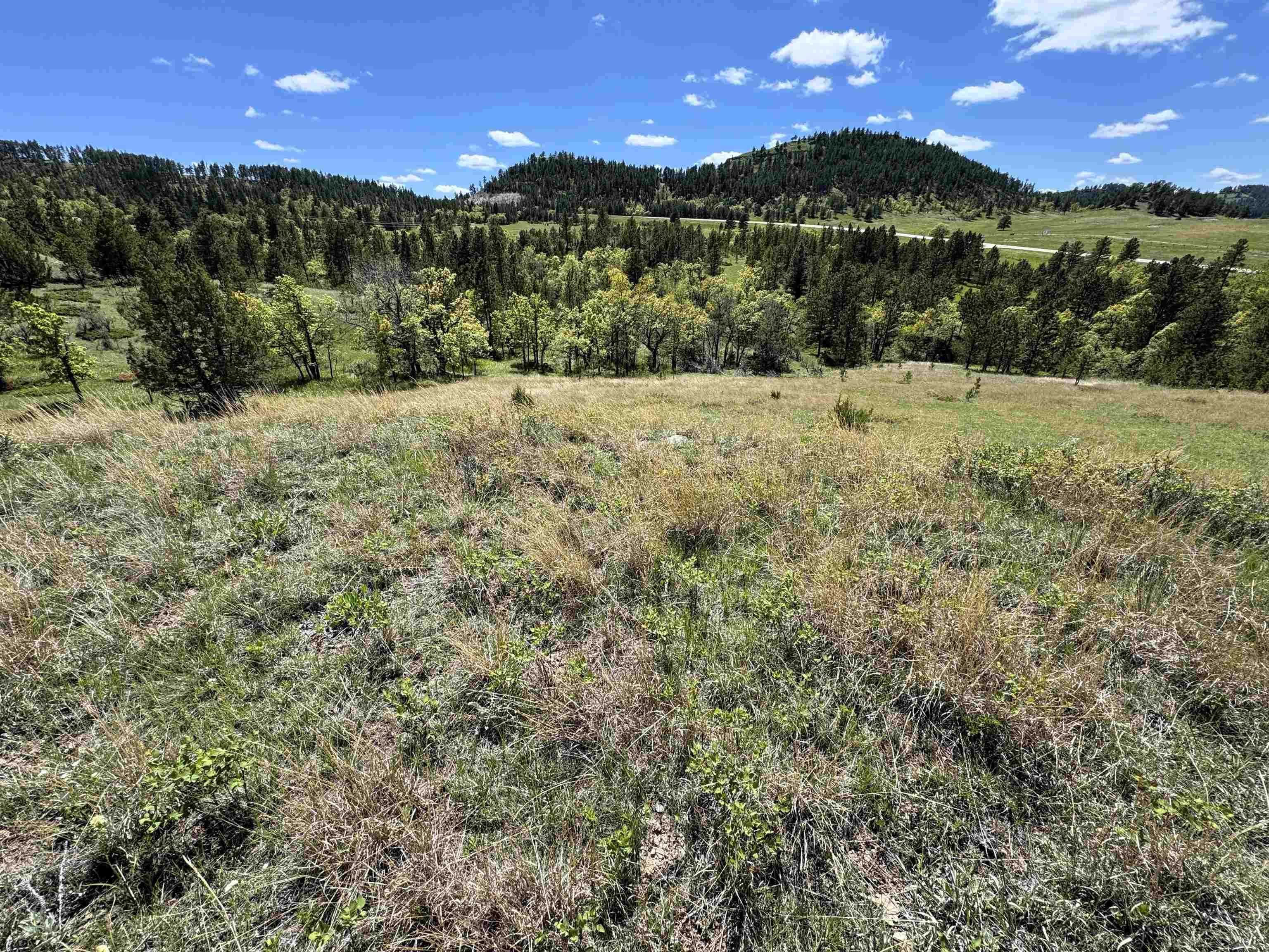 E2 Soaring Eagle Road Property Photo 7