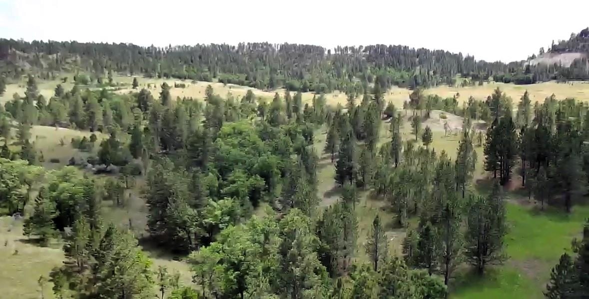 E2 Soaring Eagle Road Property Photo 8
