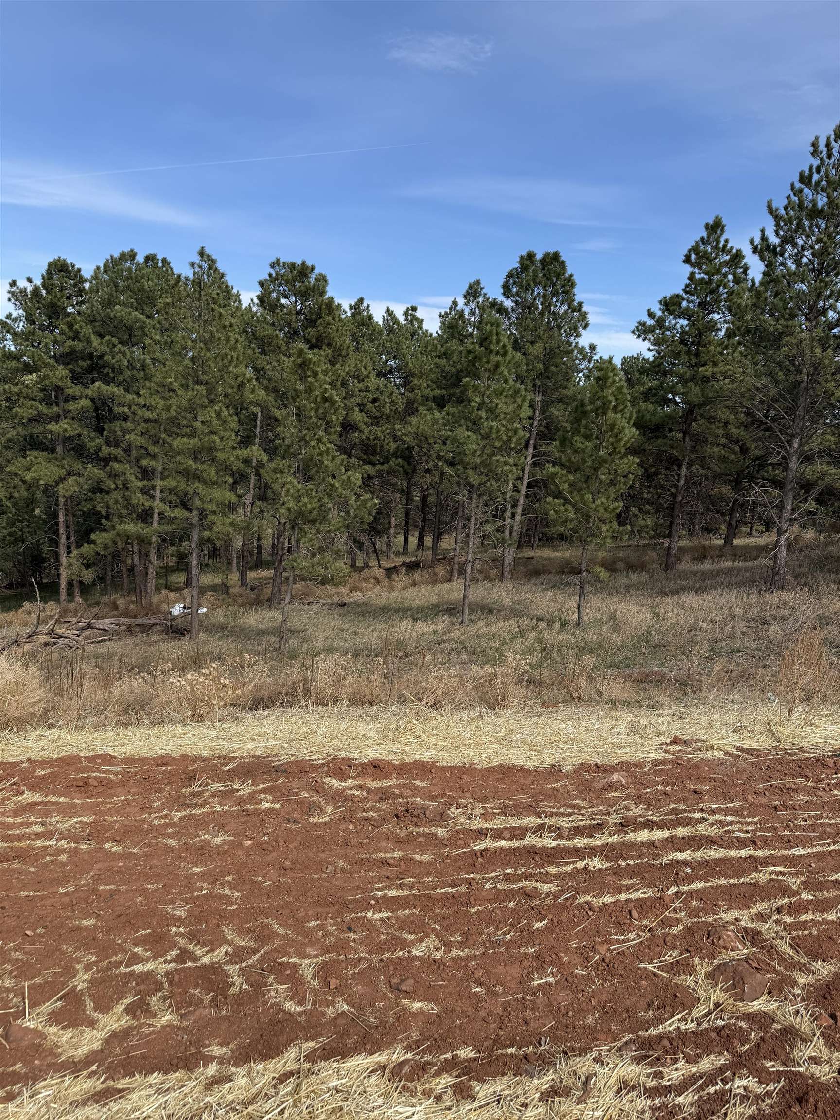 5824 Wind River Road Property Photo 5