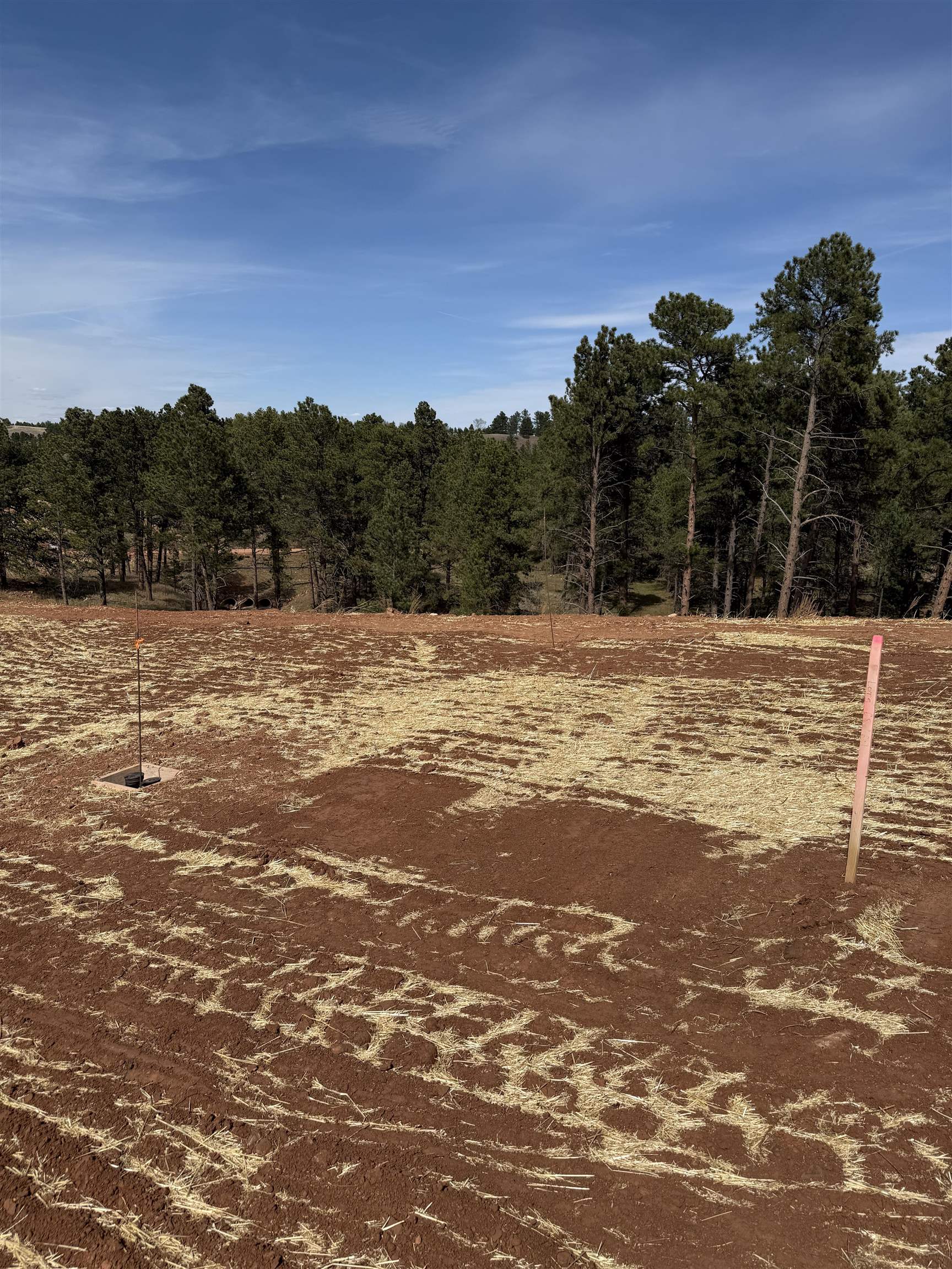 5824 Wind River Road Property Photo 16