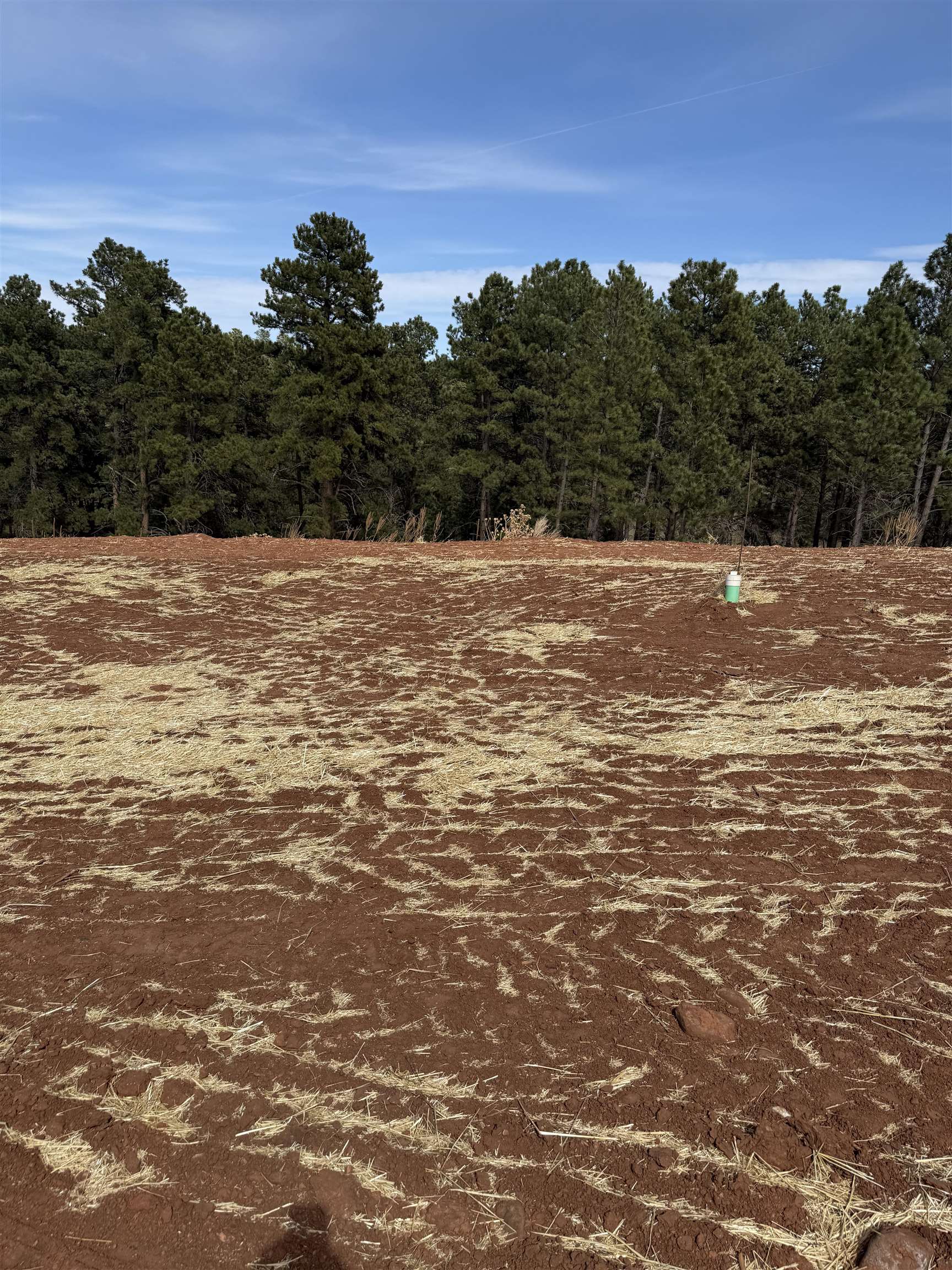 5812 Wind River Road Property Photo 5