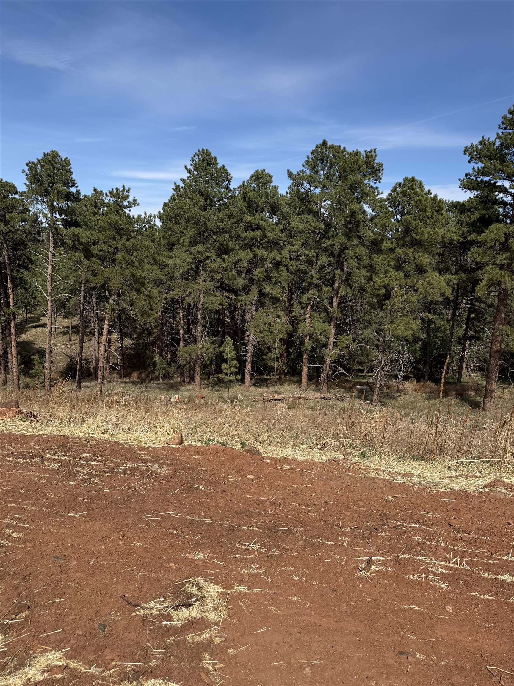 5812 Wind River Road Property Photo 8