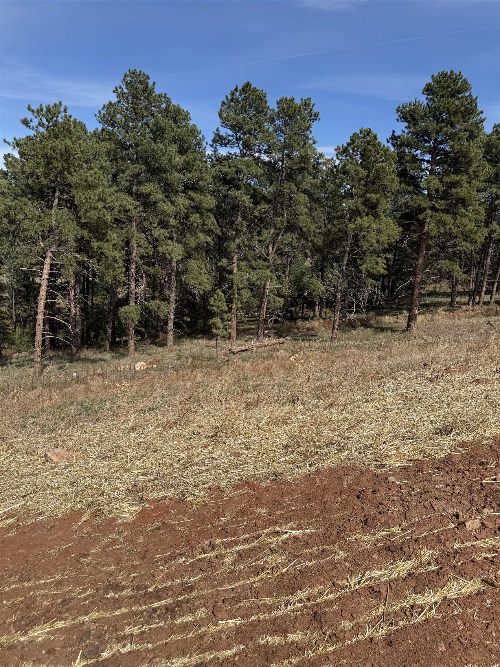 5812 Wind River Road Property Photo 10