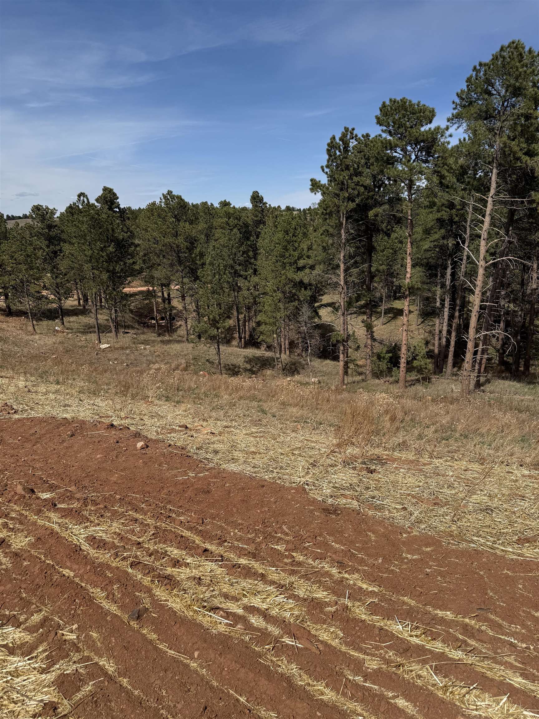5812 Wind River Road Property Photo 12