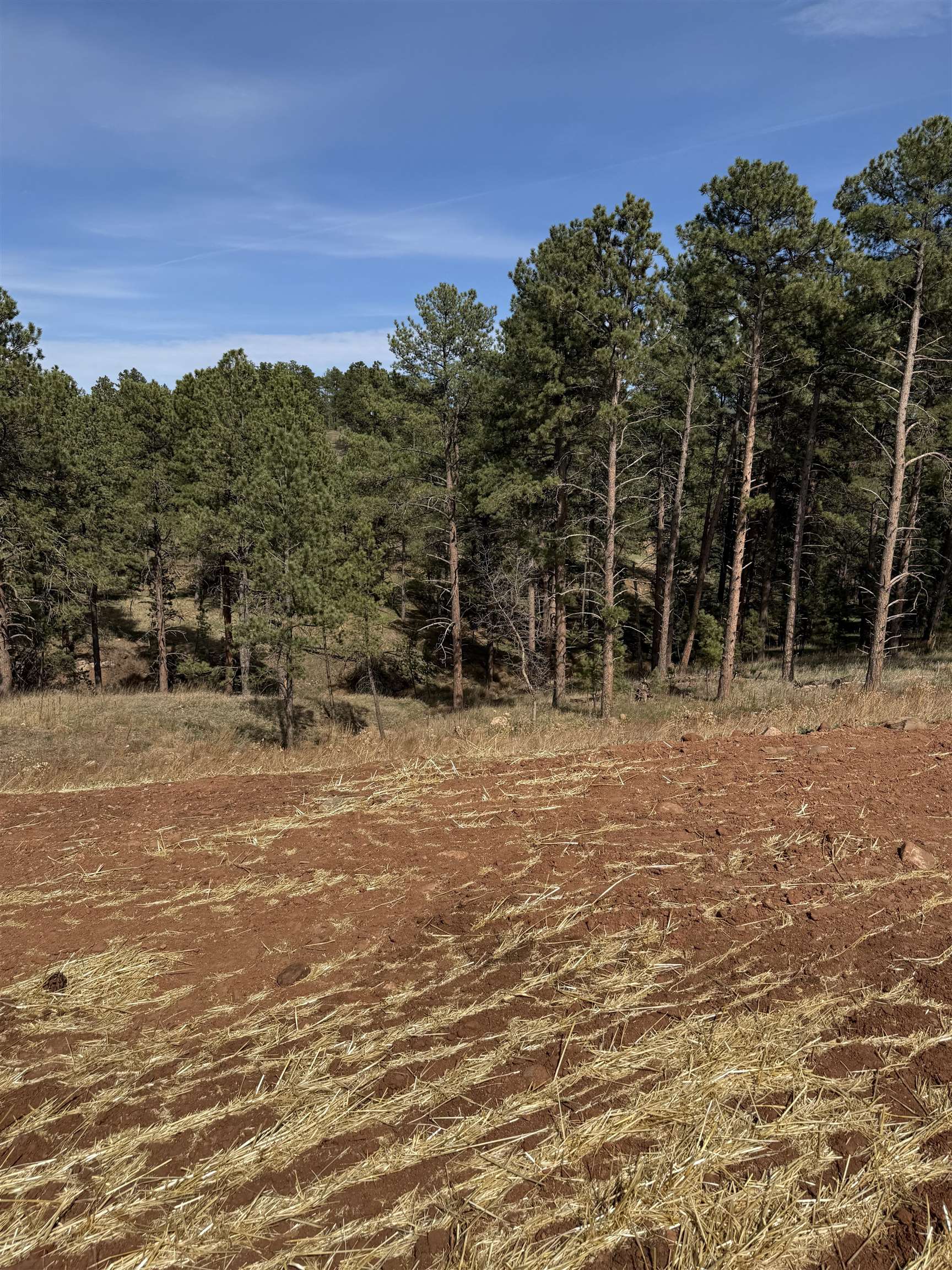 5760 Wind River Road Property Photo 12