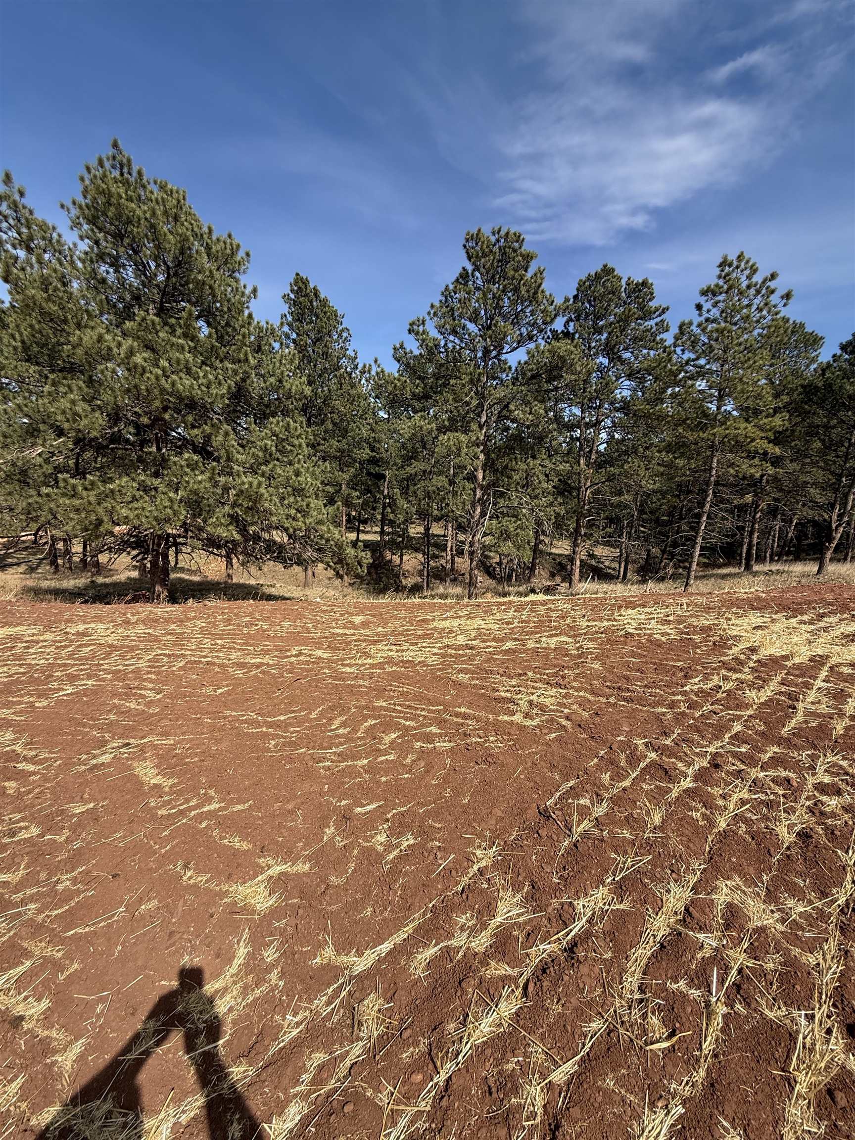5746 Wind River Road Property Photo 5