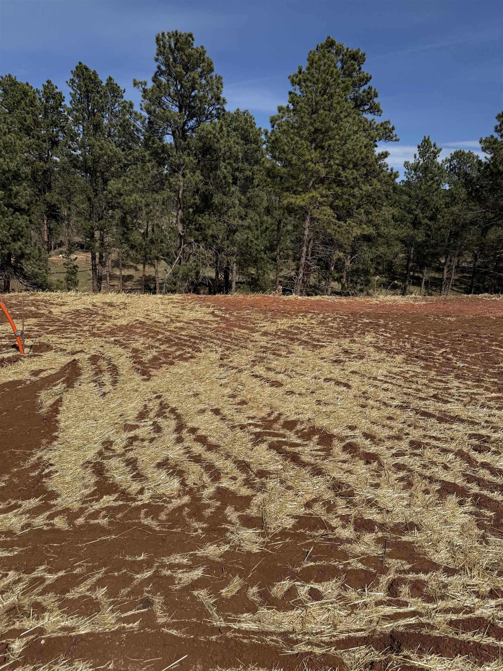 5746 Wind River Road Property Photo 7