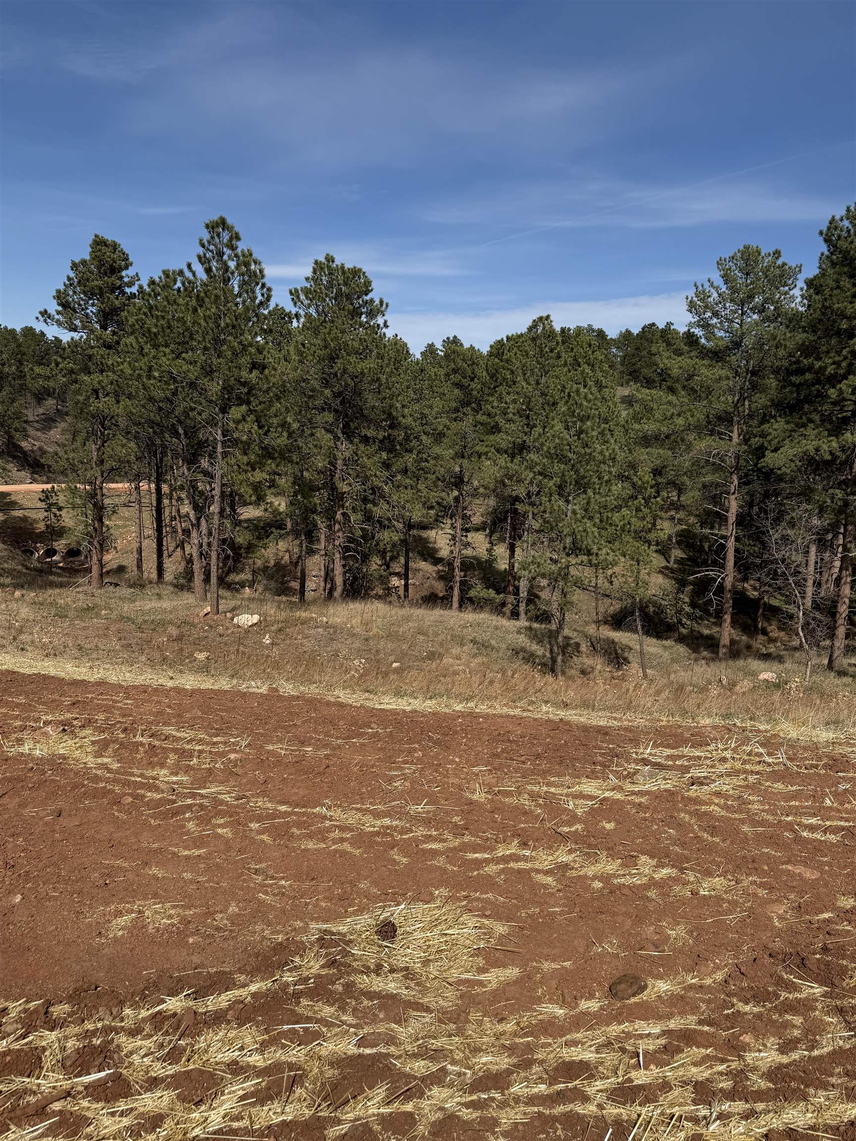 5746 Wind River Road Property Photo 9