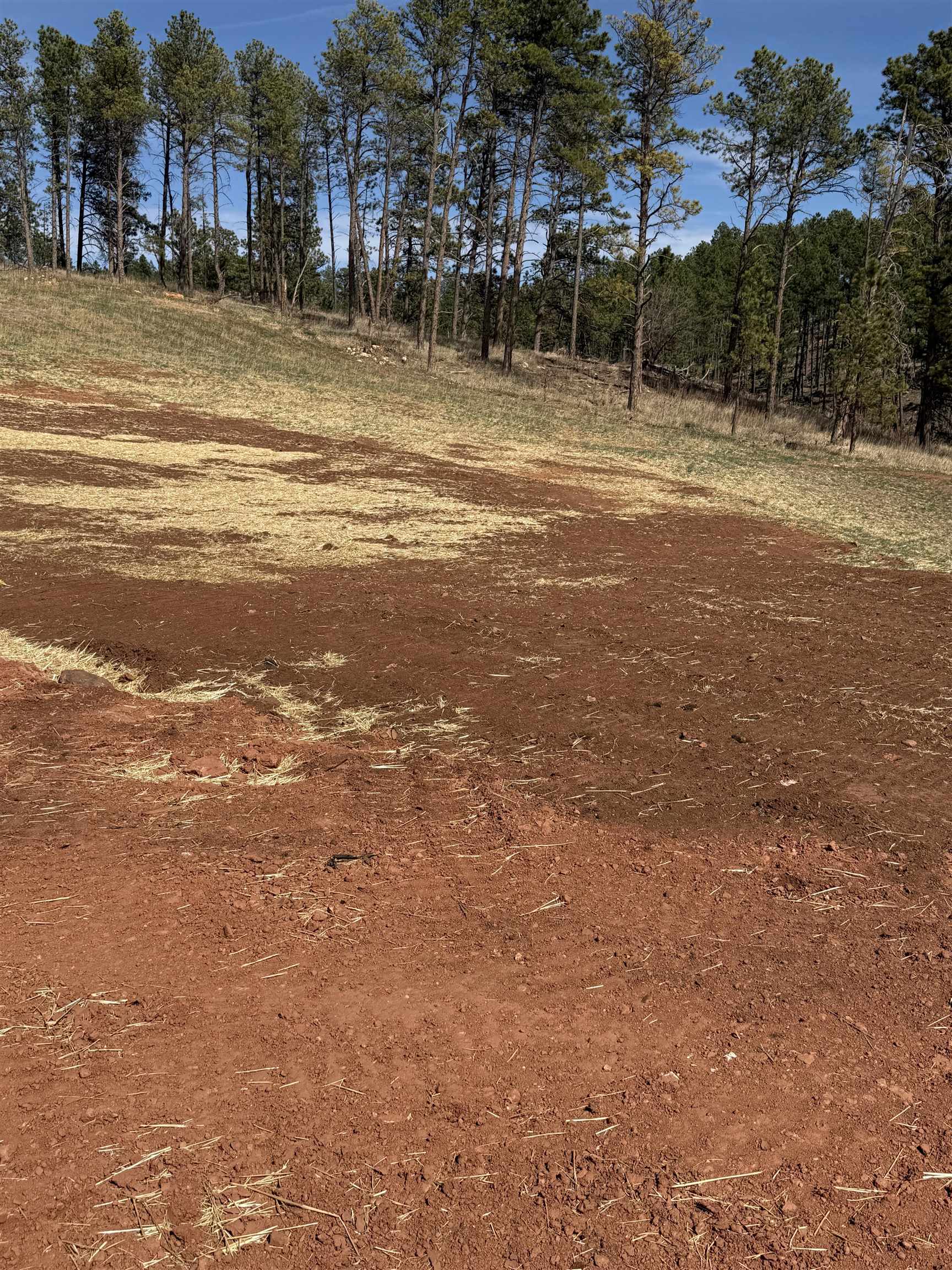 5734 Wind River Road Property Photo 6