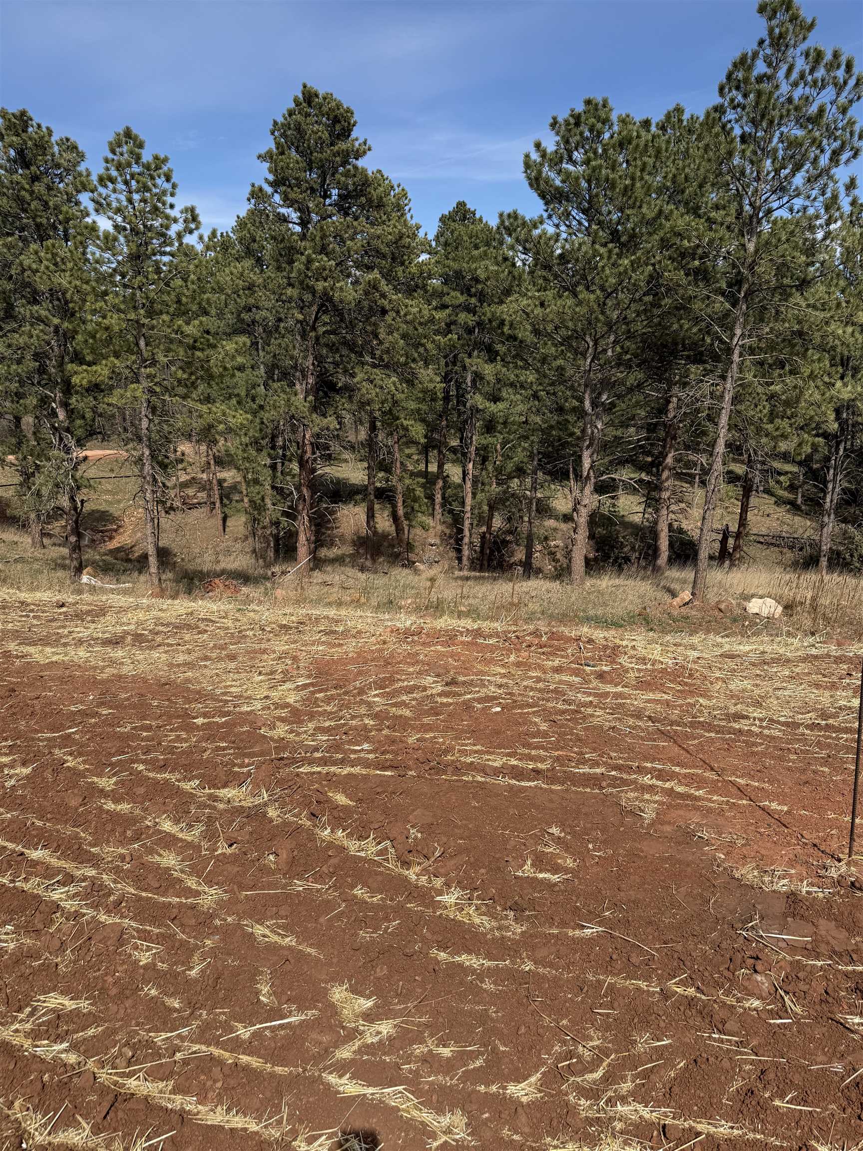 5734 Wind River Road Property Photo 8