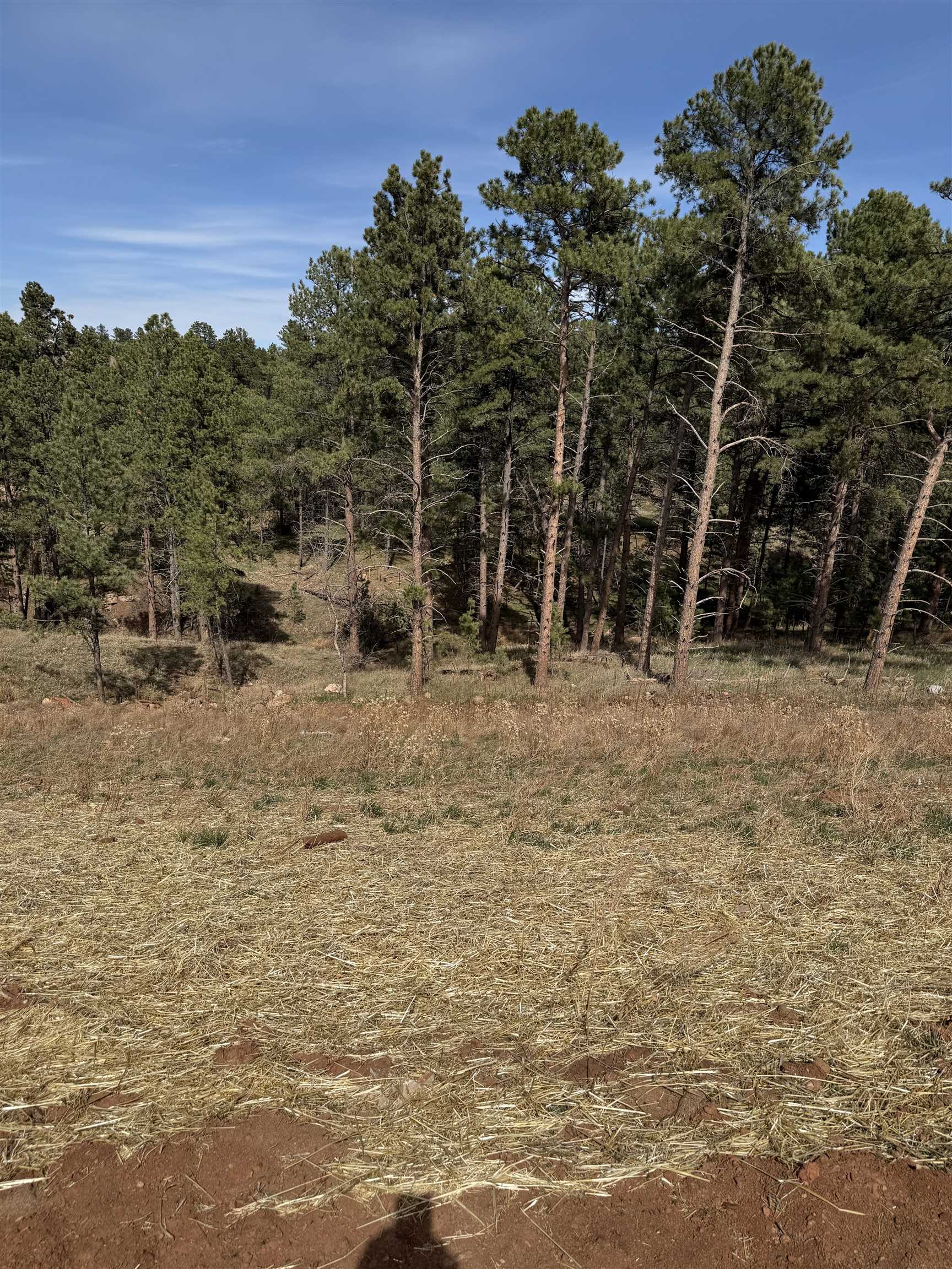 5734 Wind River Road Property Photo 11