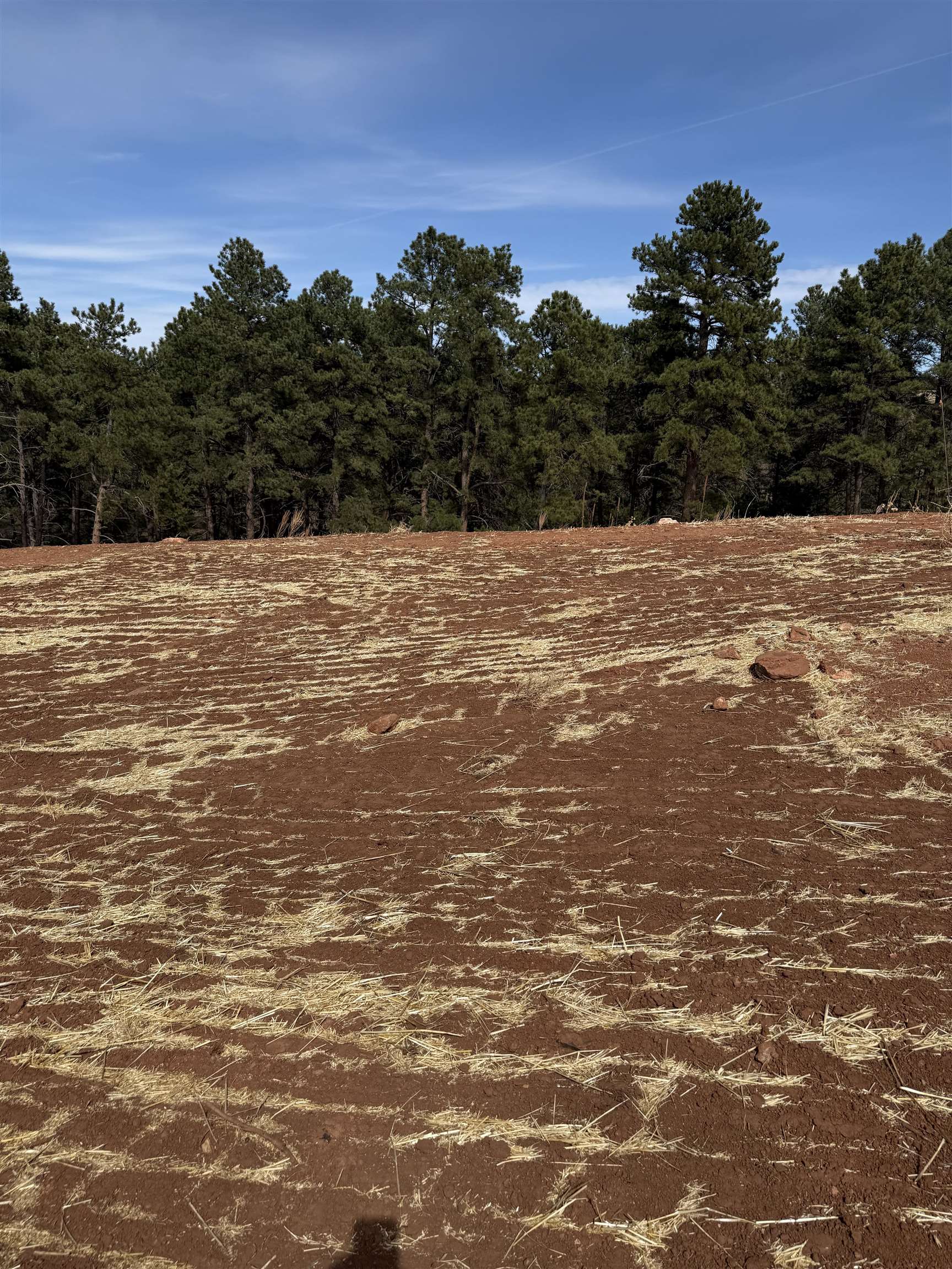 5734 Wind River Road Property Photo 16